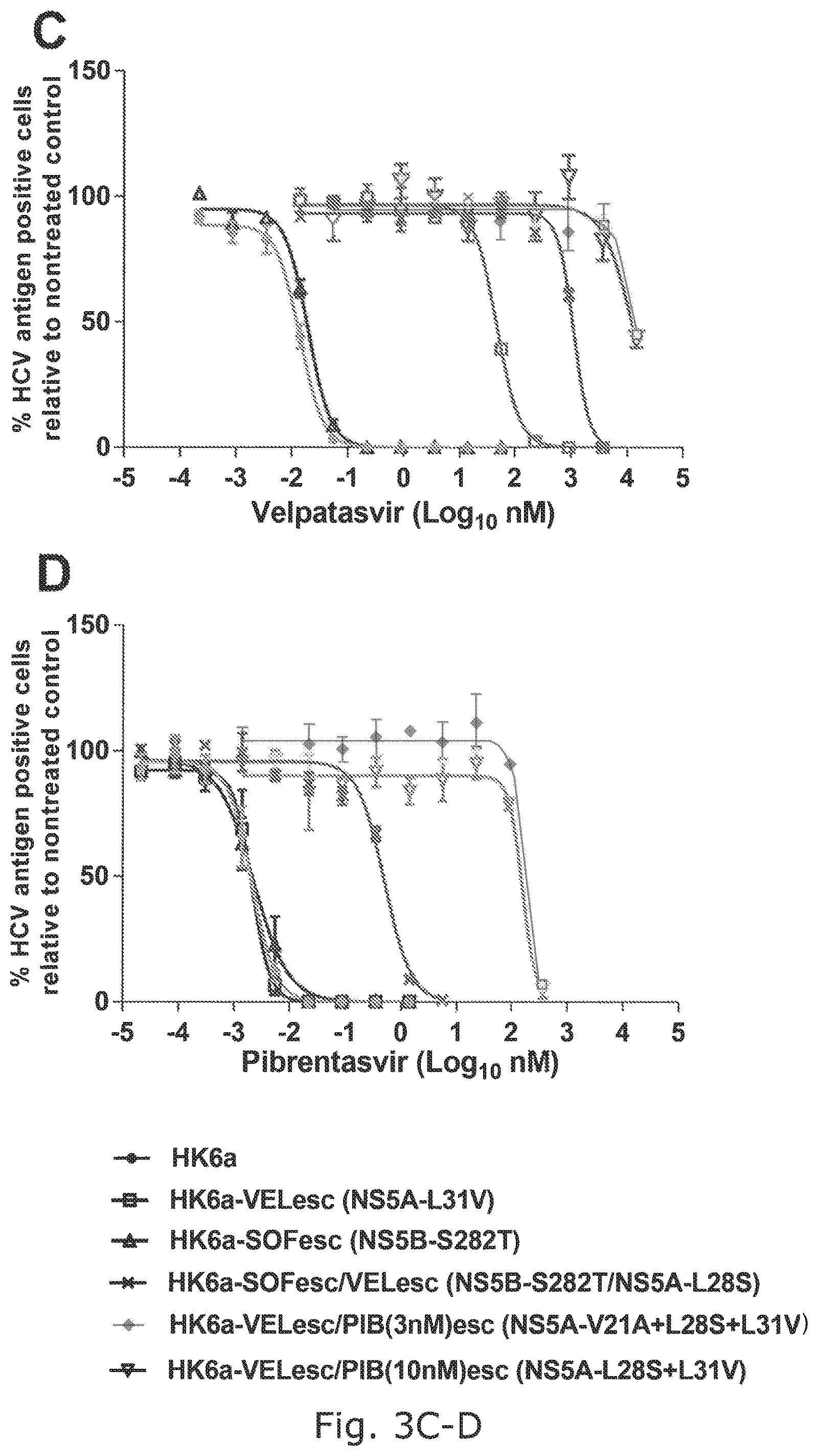 Patent US12104176 Figure 8 – Efficient cell culture system for hepatitis C virus genotype 6A