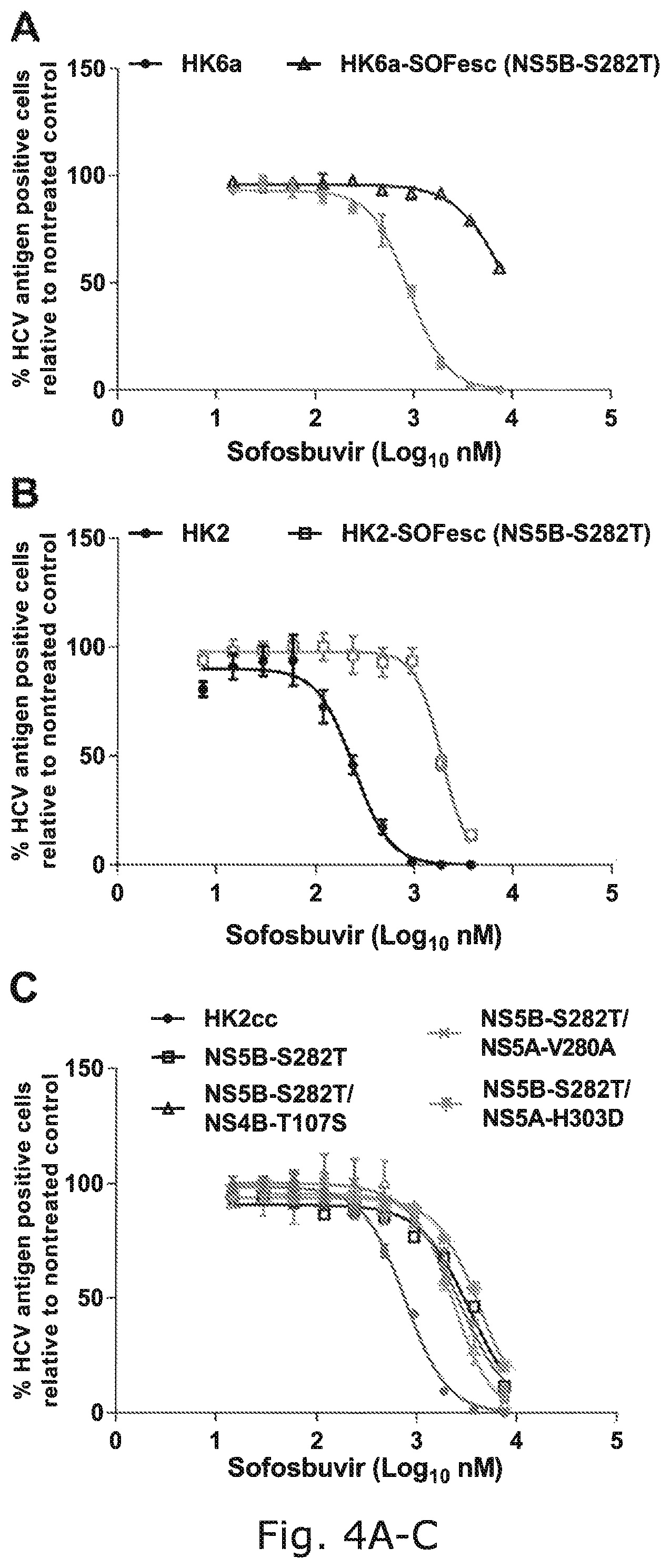 Patent US12104176 Figure 9 – Efficient cell culture system for hepatitis C virus genotype 6A