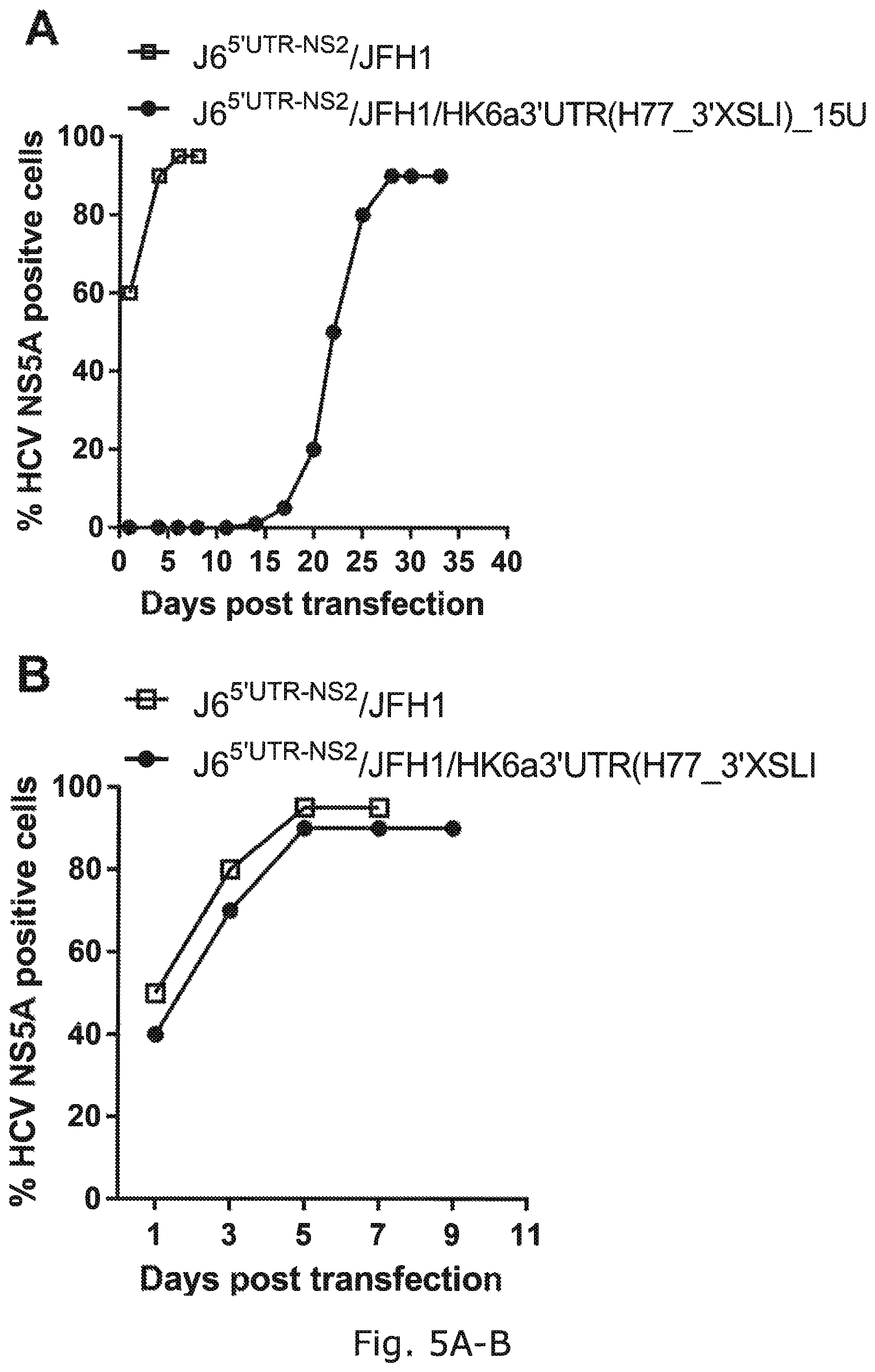 Patent US12104176 Figure 10 – Efficient cell culture system for hepatitis C virus genotype 6A