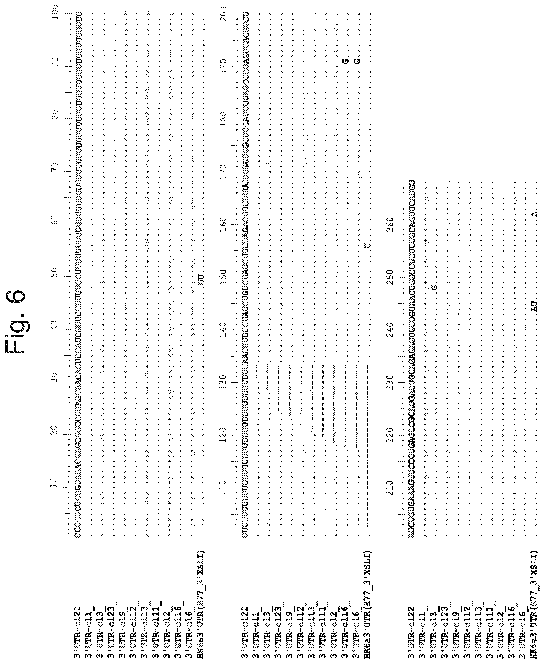 Patent US12104176 Figure 12 – Efficient cell culture system for hepatitis C virus genotype 6A
