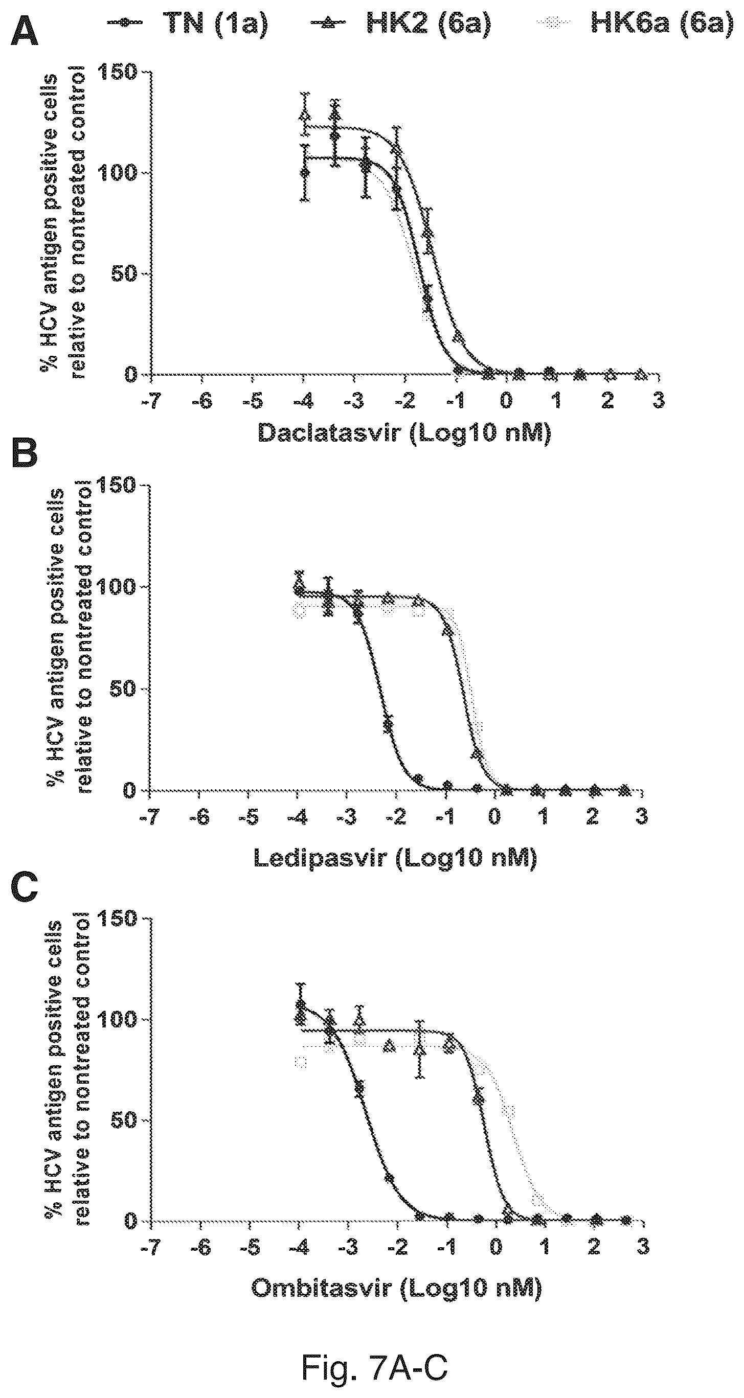 Patent US12104176 Figure 13 – Efficient cell culture system for hepatitis C virus genotype 6A