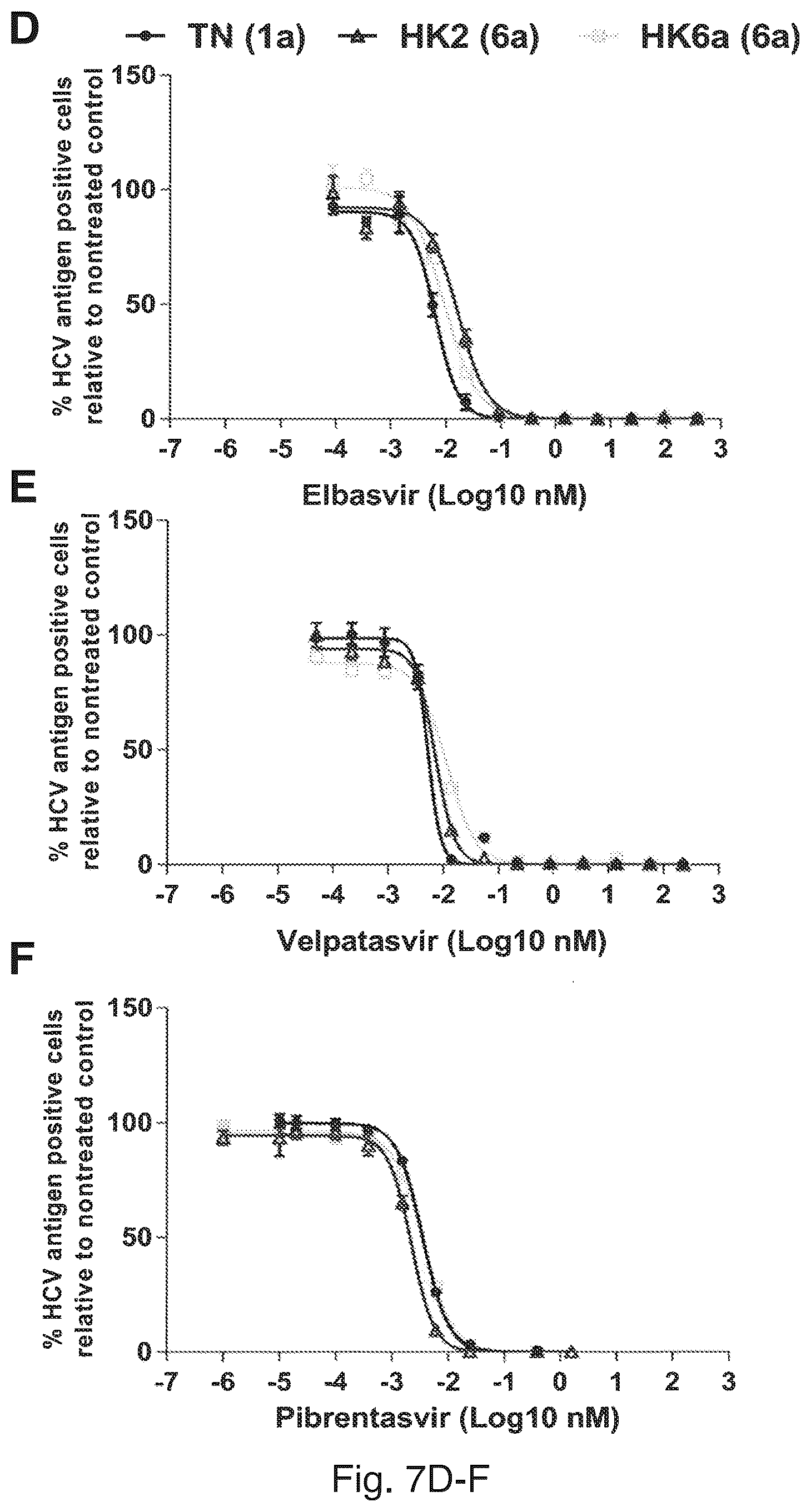 Patent US12104176 Figure 14 – Efficient cell culture system for hepatitis C virus genotype 6A