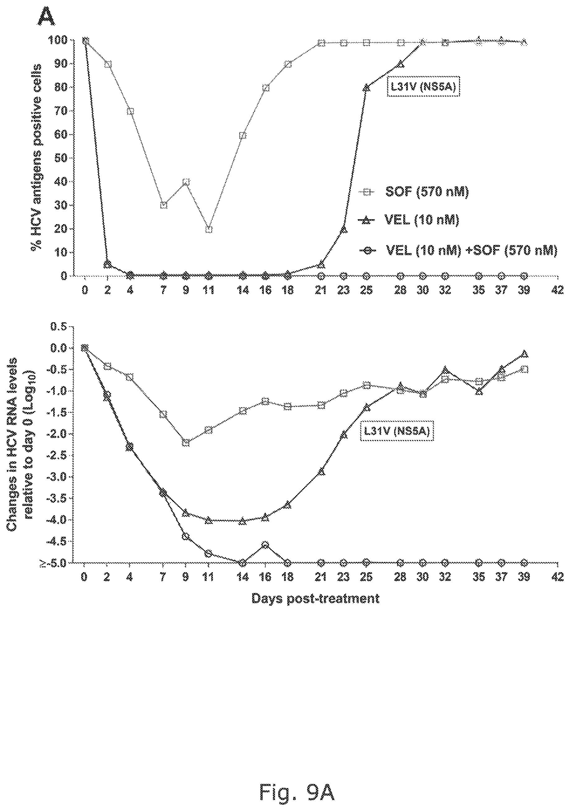 Patent US12104176 Figure 17 – Efficient cell culture system for hepatitis C virus genotype 6A