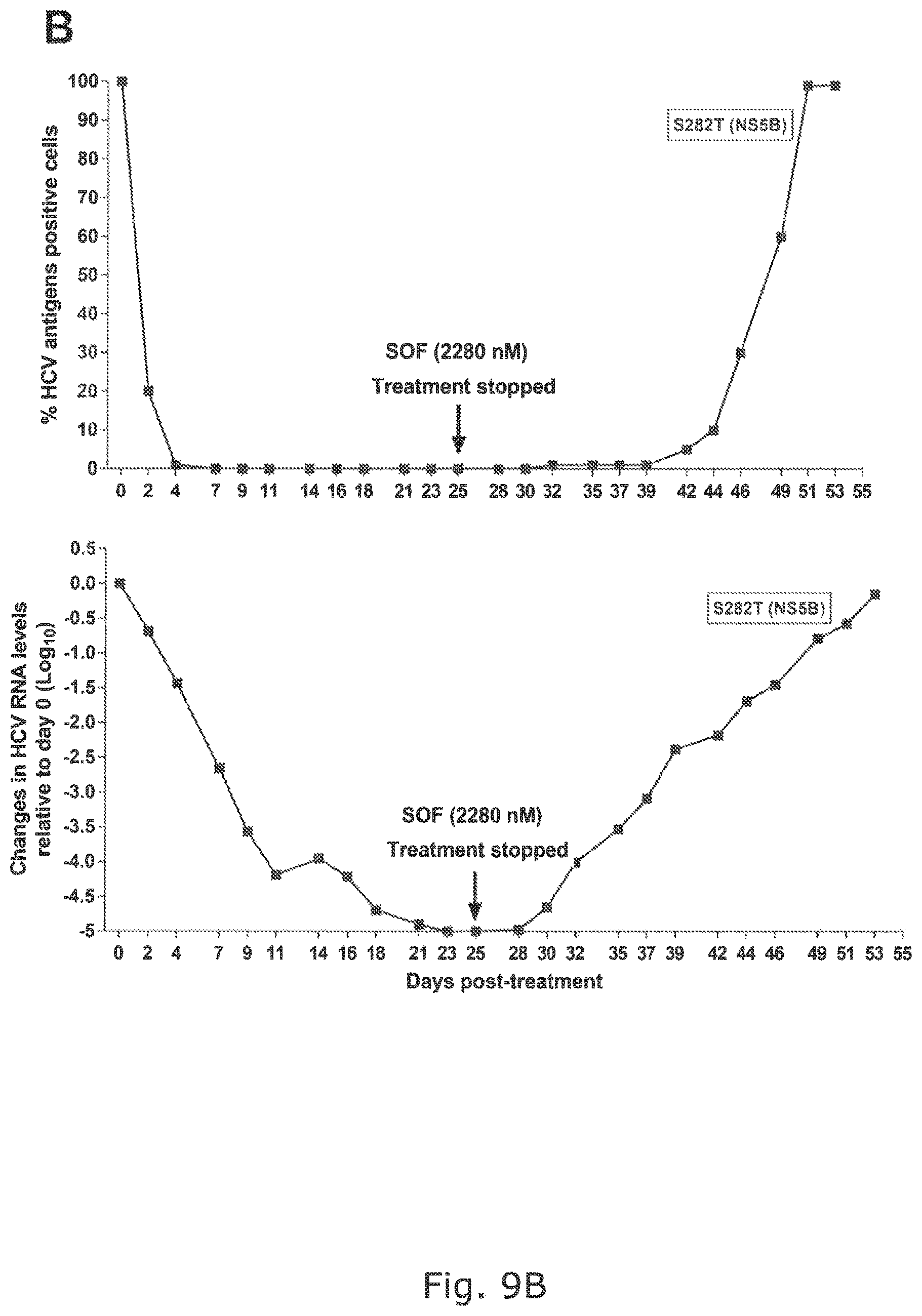Patent US12104176 Figure 18 – Efficient cell culture system for hepatitis C virus genotype 6A