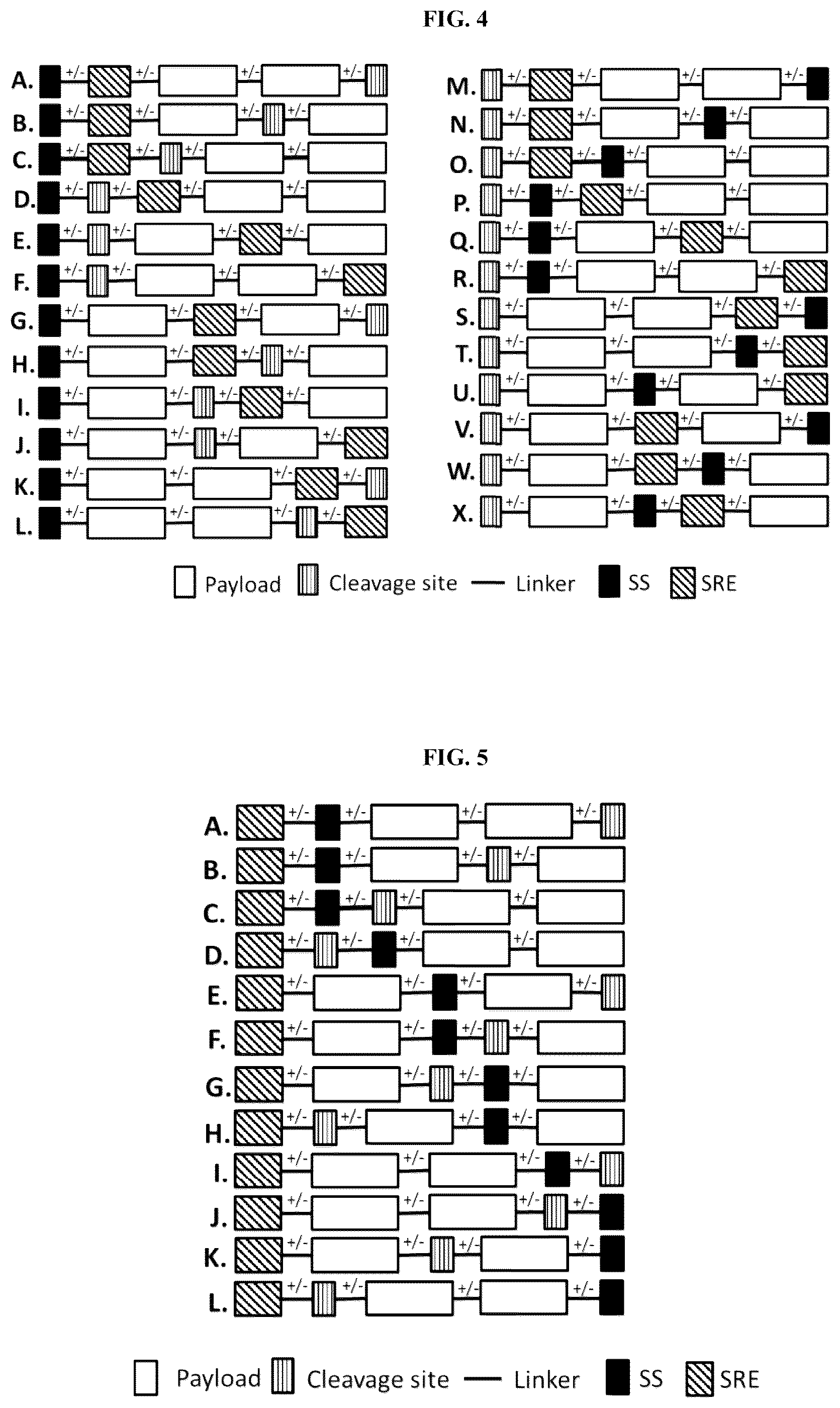 Patent US12104178 Figure 3 – DHFR tunable protein regulation