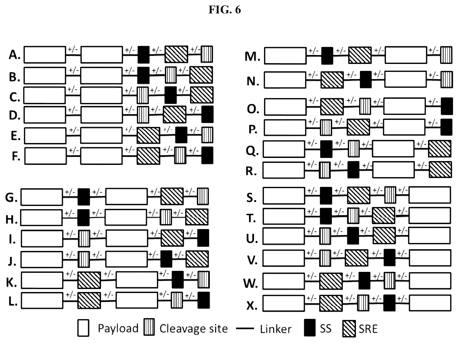 Patent US12104178 Figure 4 – DHFR tunable protein regulation