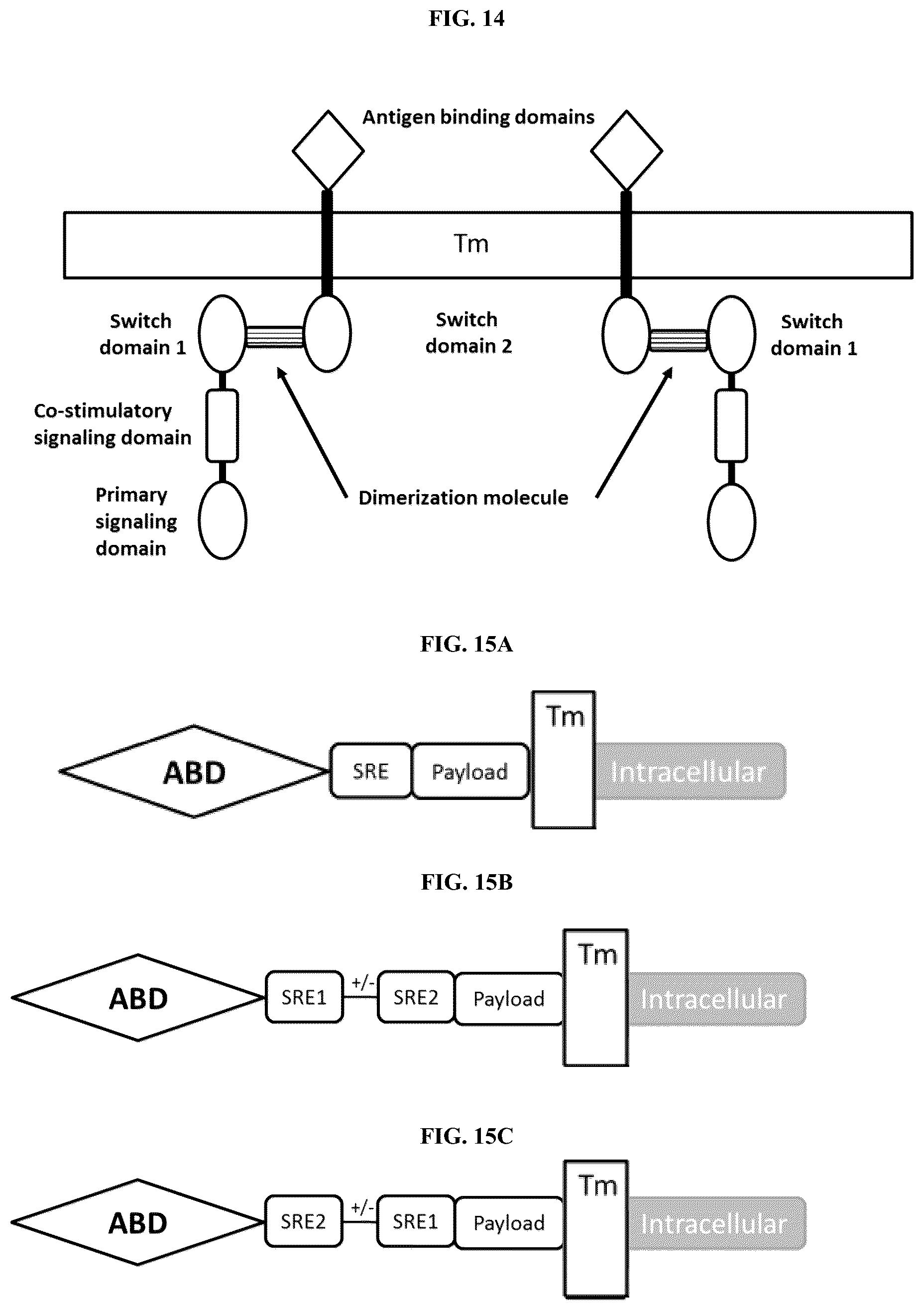 Patent US12104178 Figure 9 – DHFR tunable protein regulation