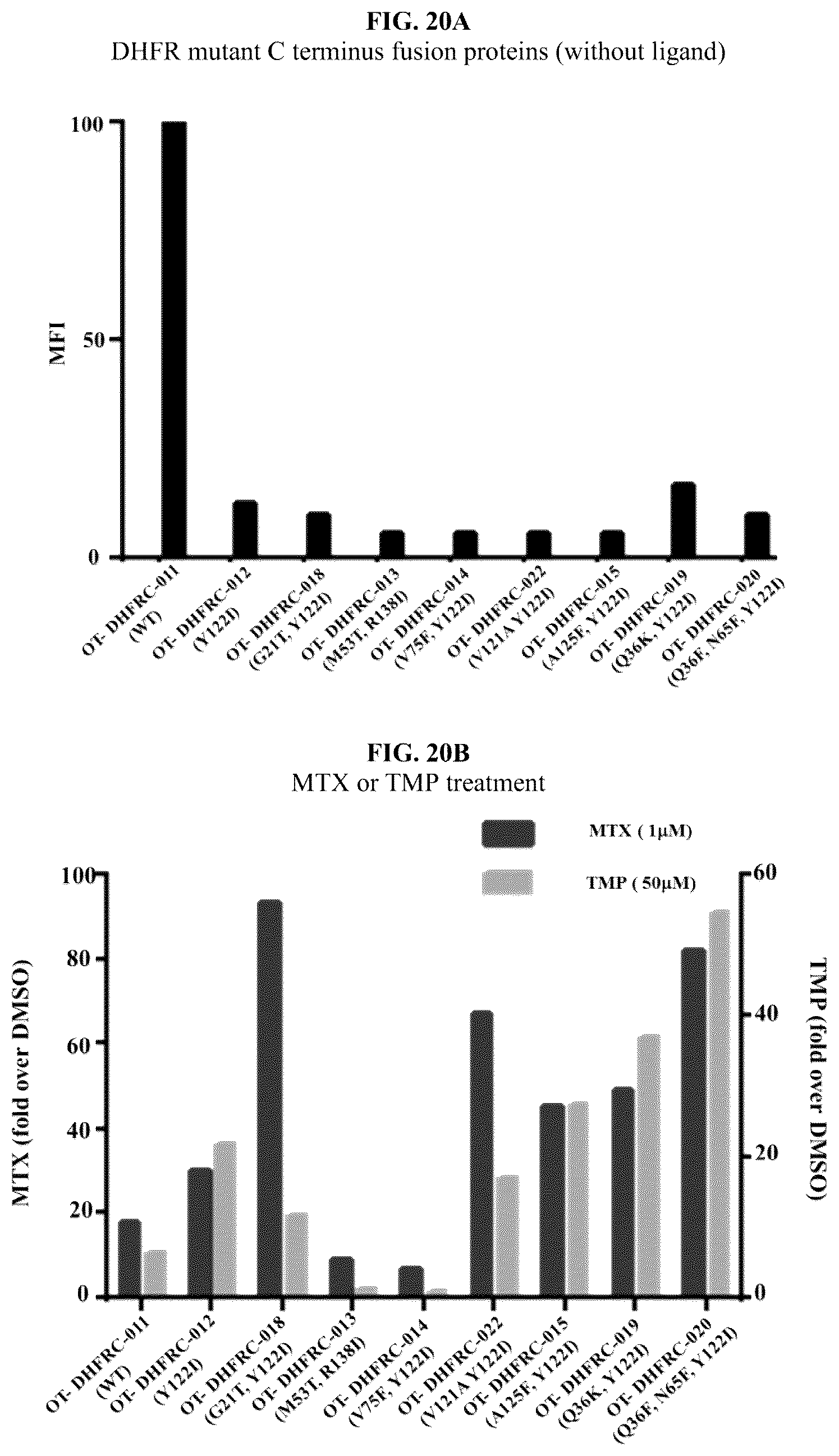 Patent US12104178 Figure 15 – DHFR tunable protein regulation