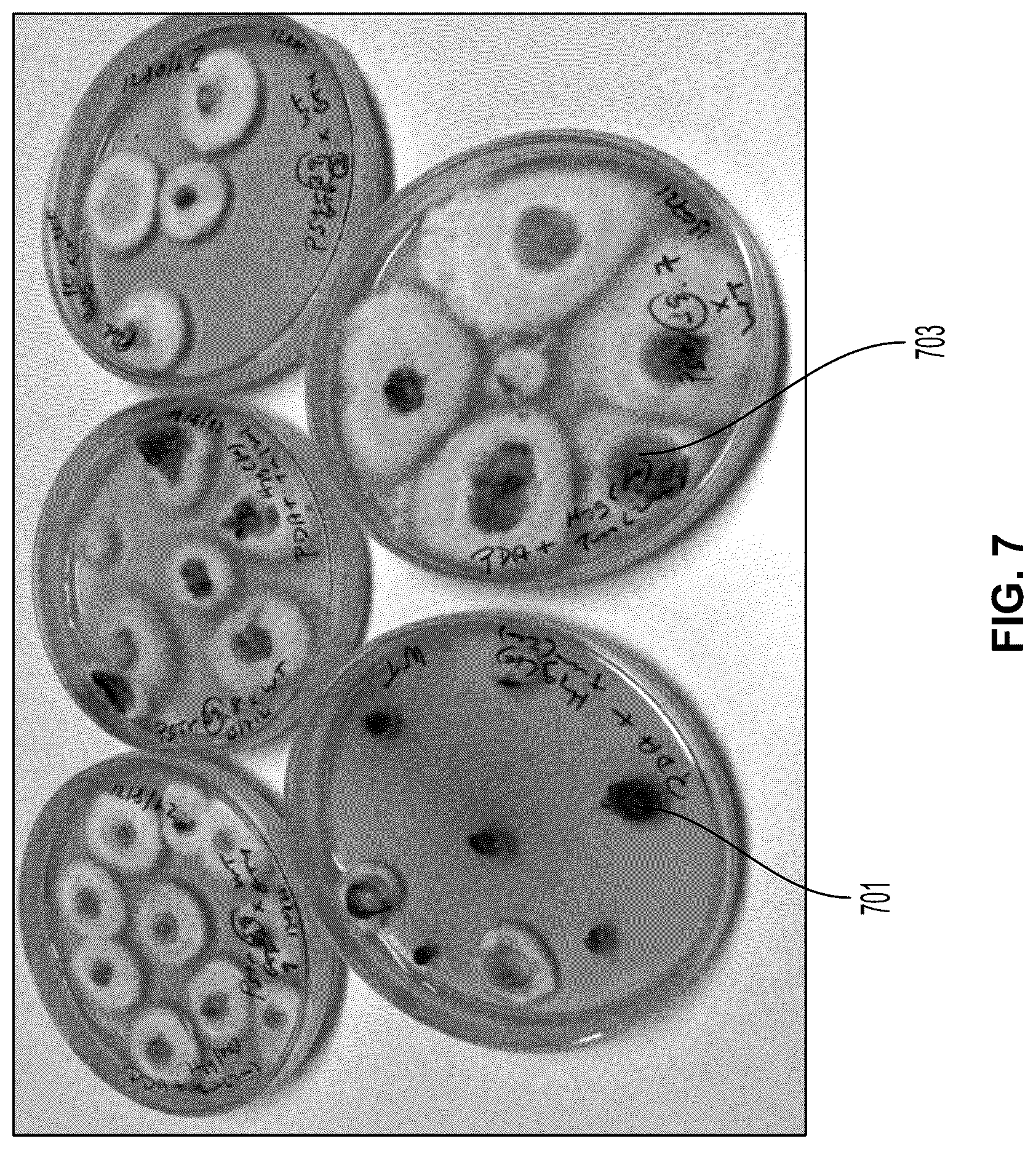 Patent US12104179 Figure 7 – Genetically modified organisms for producing psychotropic alkaloids