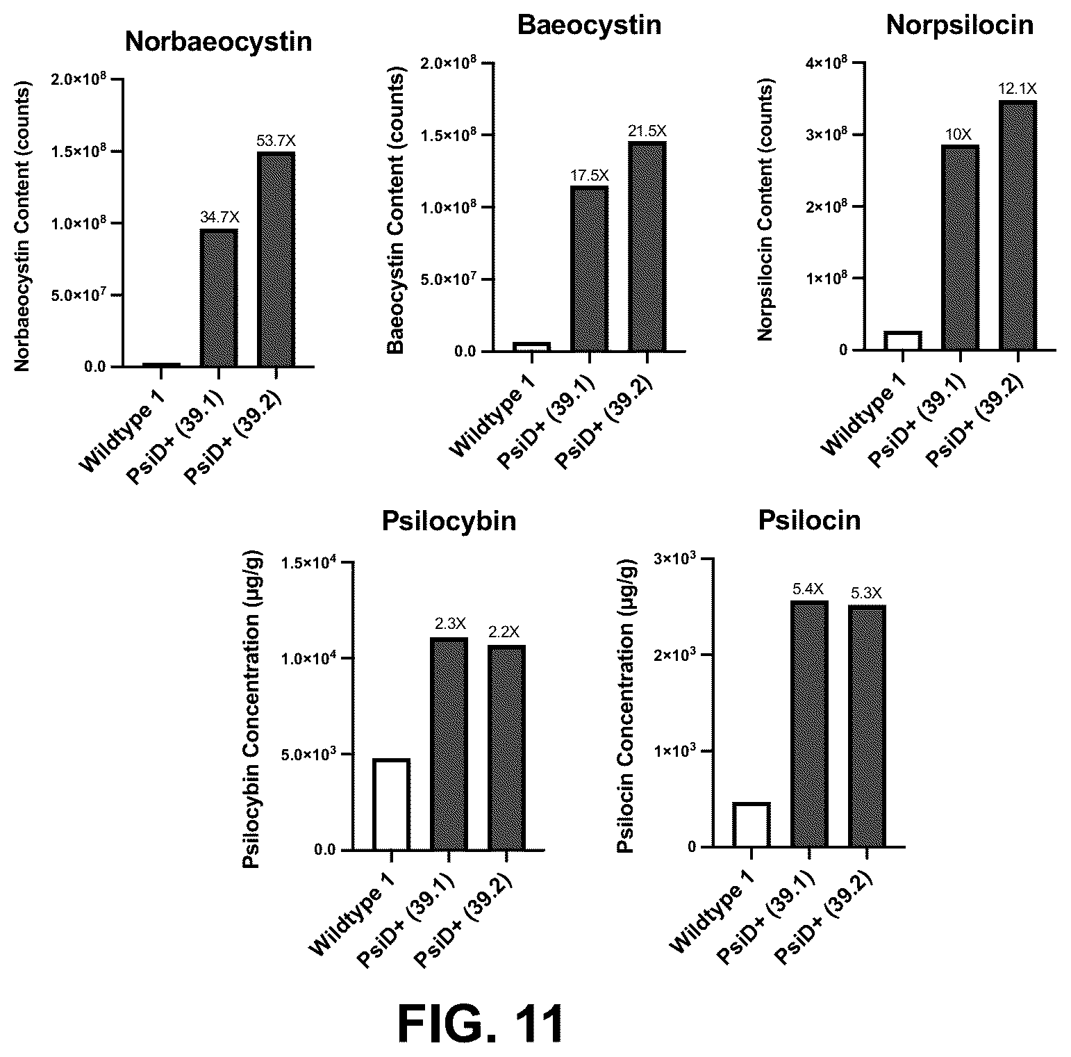 Patent US12104179 Figure 11 – Genetically modified organisms for producing psychotropic alkaloids