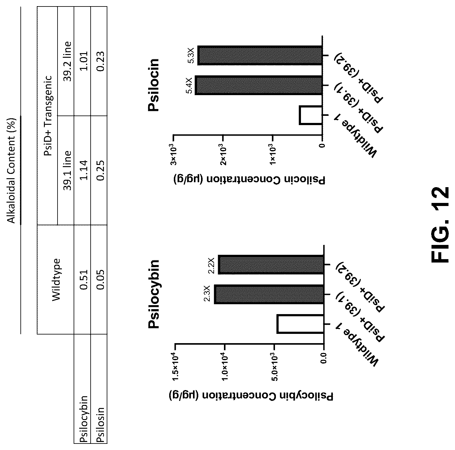 Patent US12104179 Figure 12 – Genetically modified organisms for producing psychotropic alkaloids