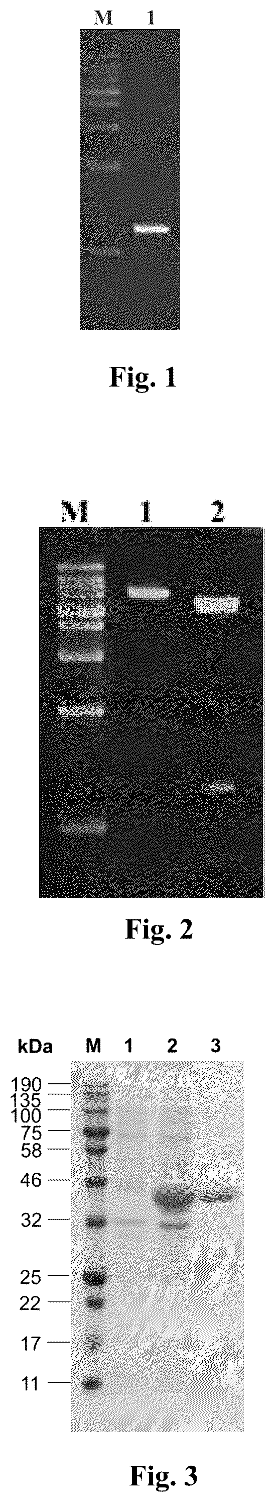 Patent US12104180 Figure 1 – Enzyme with acyl transfer function and application thereof