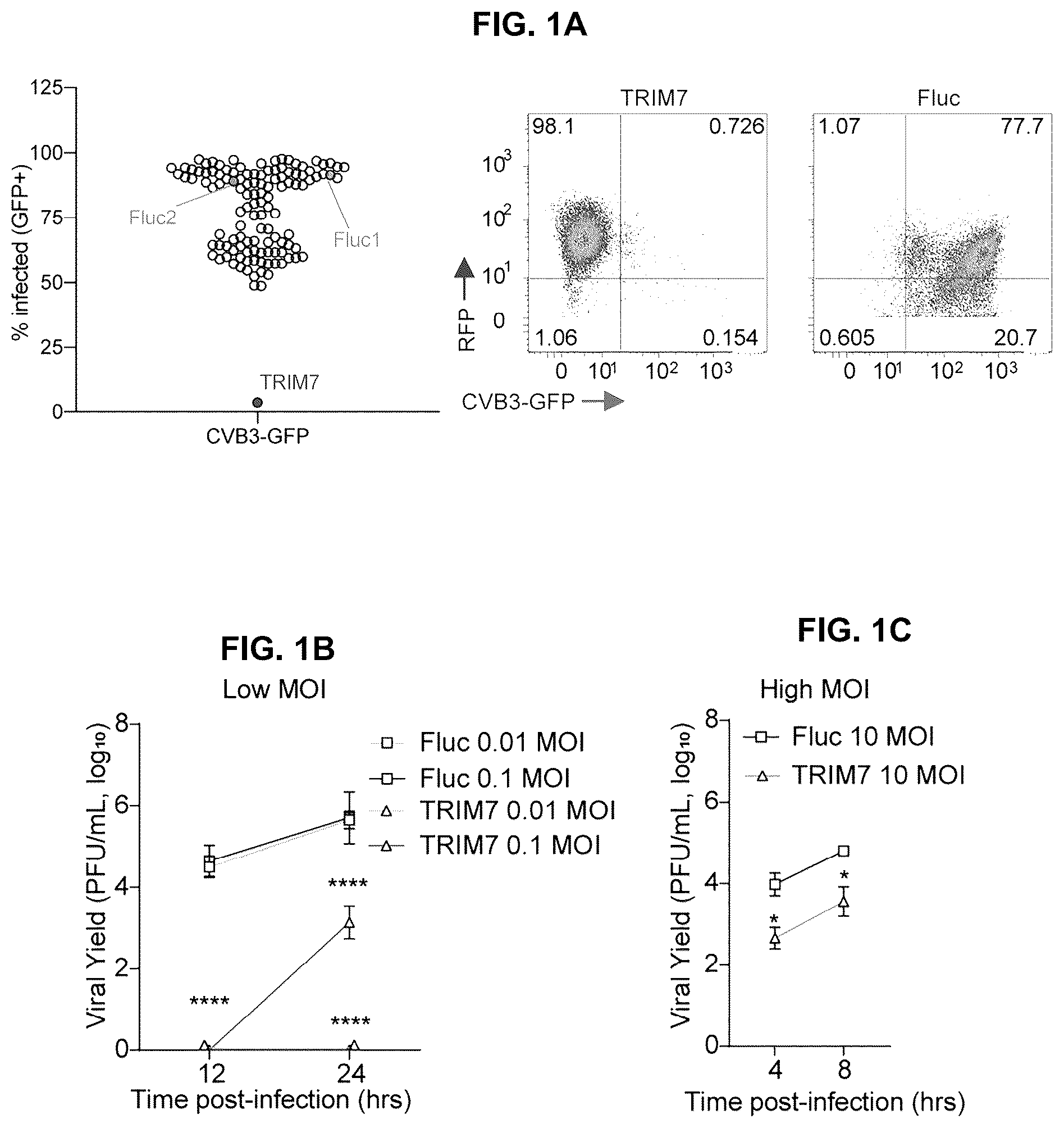 Patent US12104181 Figure 1 – Compositions and methods for treating viral infections targeting TRIM7