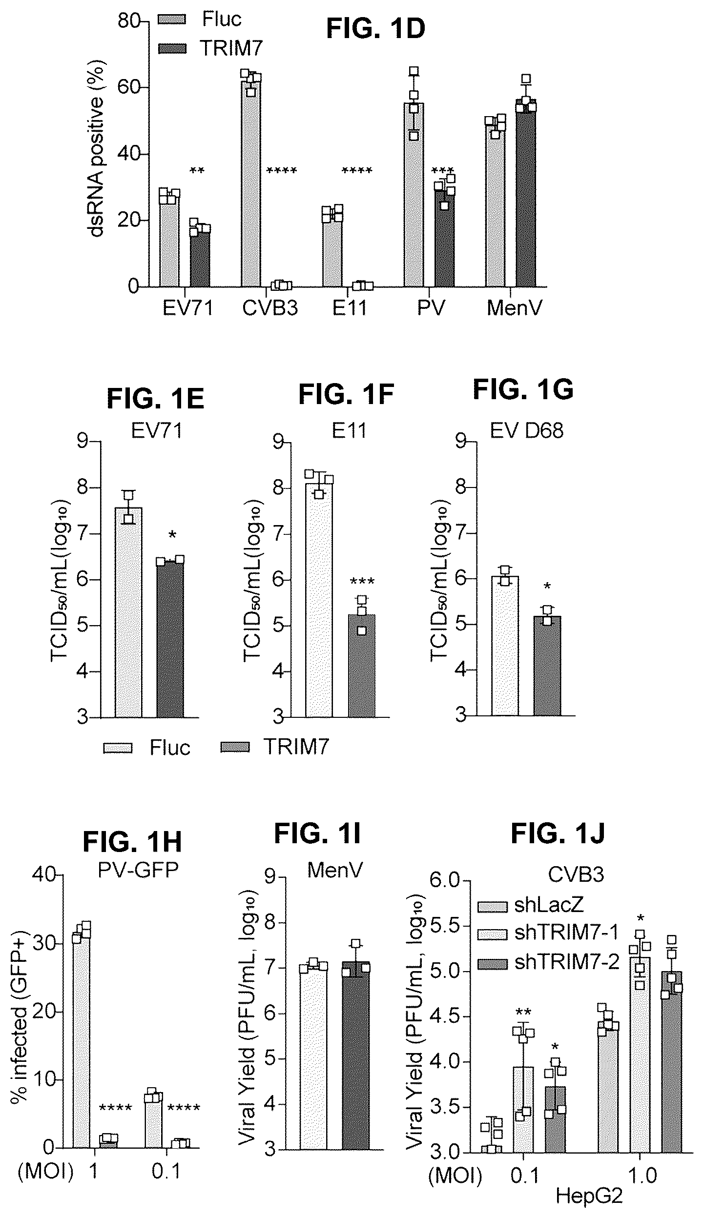 Patent US12104181 Figure 2 – Compositions and methods for treating viral infections targeting TRIM7