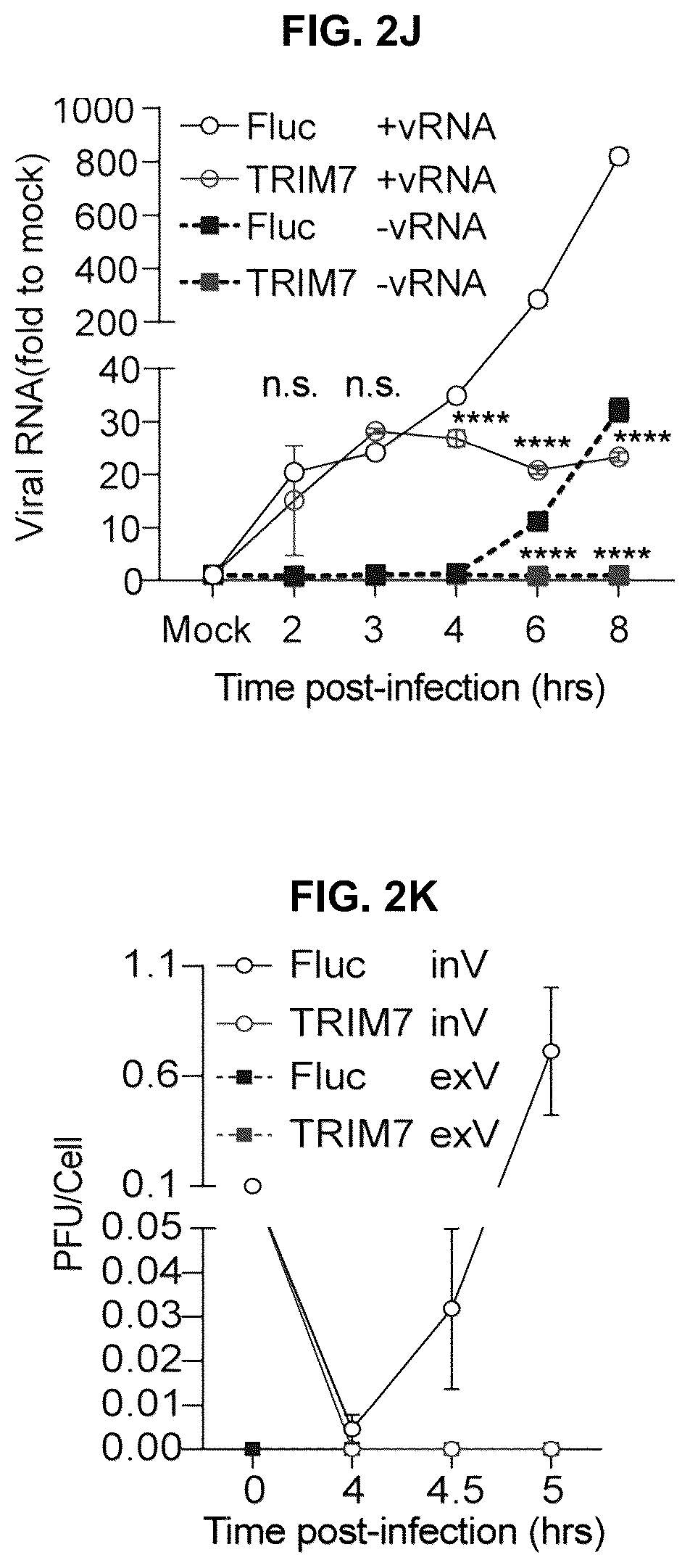 Patent US12104181 Figure 6 – Compositions and methods for treating viral infections targeting TRIM7