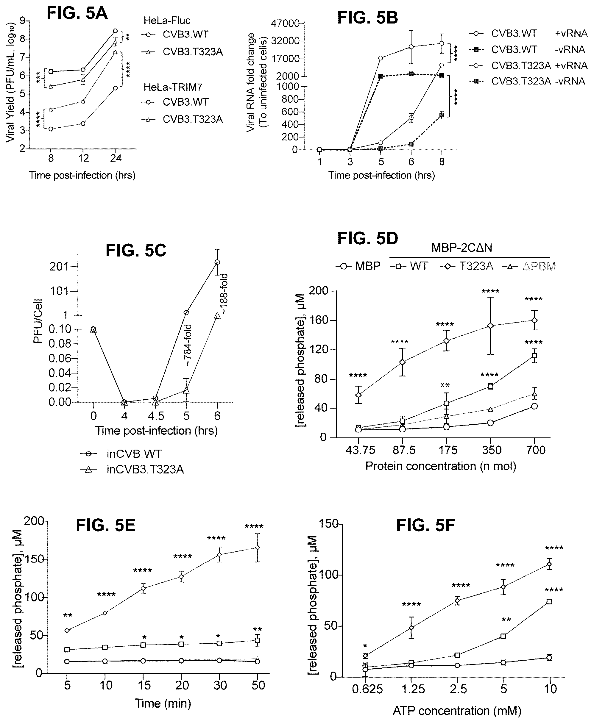 Patent US12104181 Figure 15 – Compositions and methods for treating viral infections targeting TRIM7