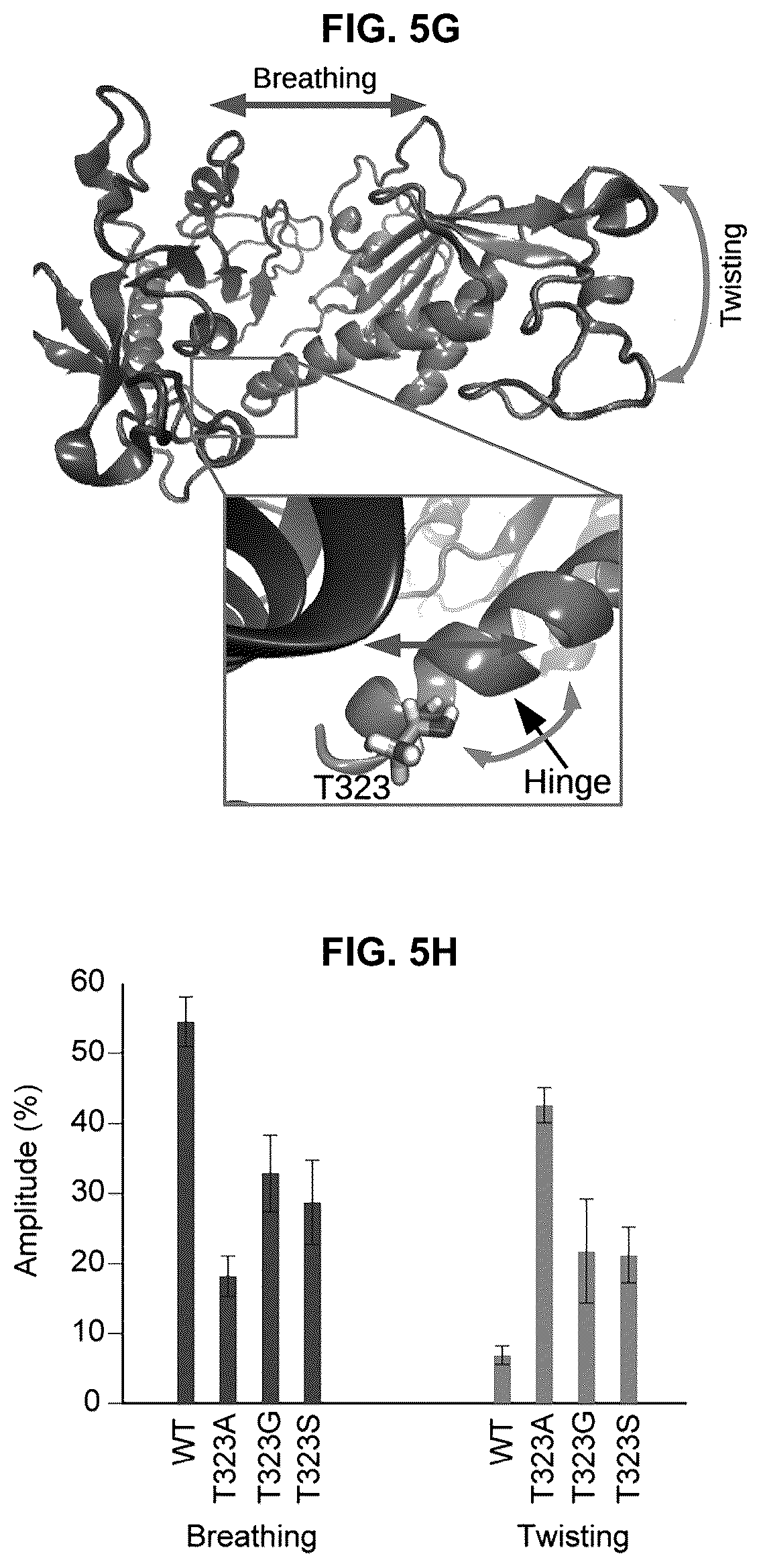 Patent US12104181 Figure 16 – Compositions and methods for treating viral infections targeting TRIM7