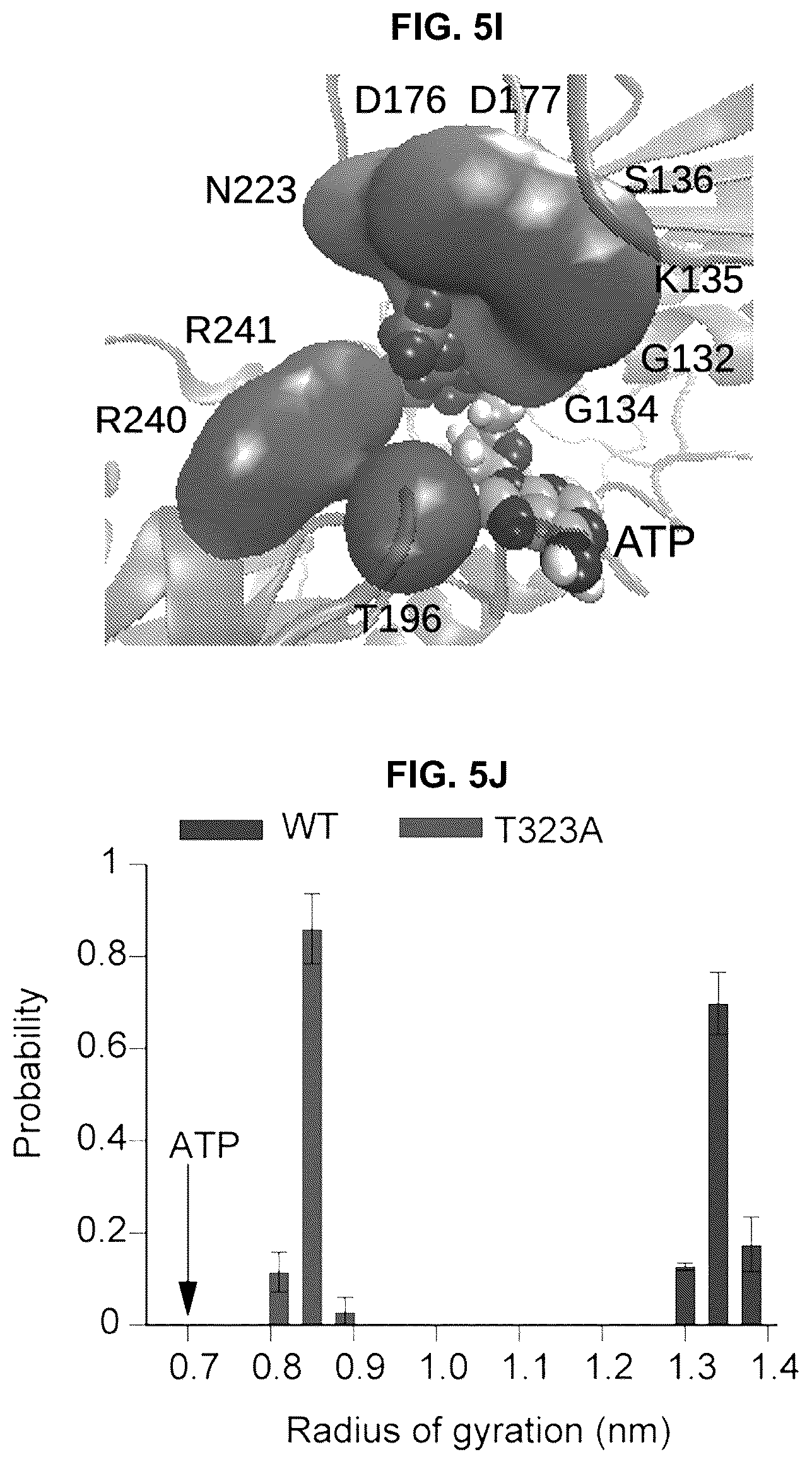 Patent US12104181 Figure 17 – Compositions and methods for treating viral infections targeting TRIM7