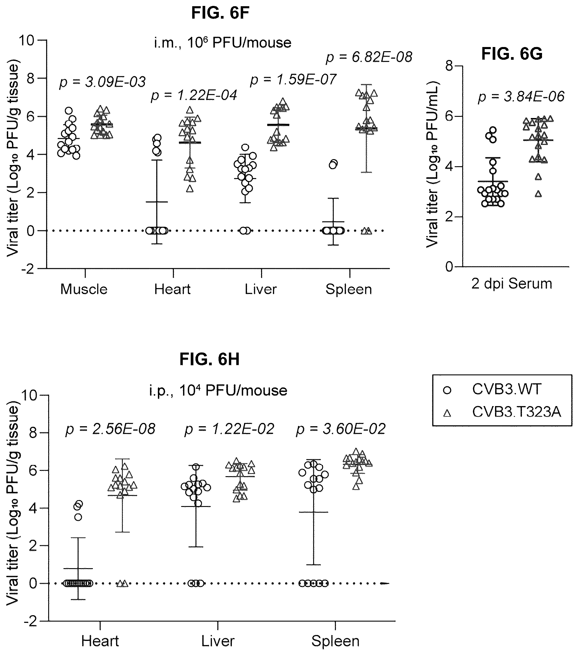 Patent US12104181 Figure 19 – Compositions and methods for treating viral infections targeting TRIM7