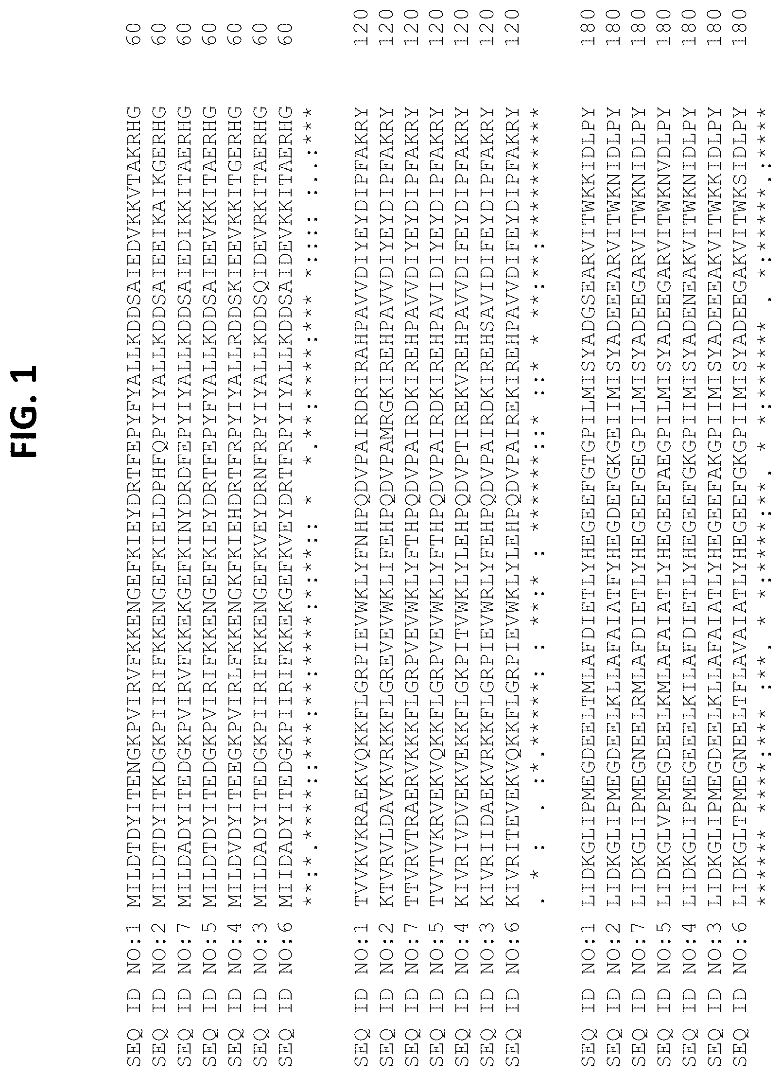 Patent US12104182 Figure 1 – Polymerases, compositions, and methods of use