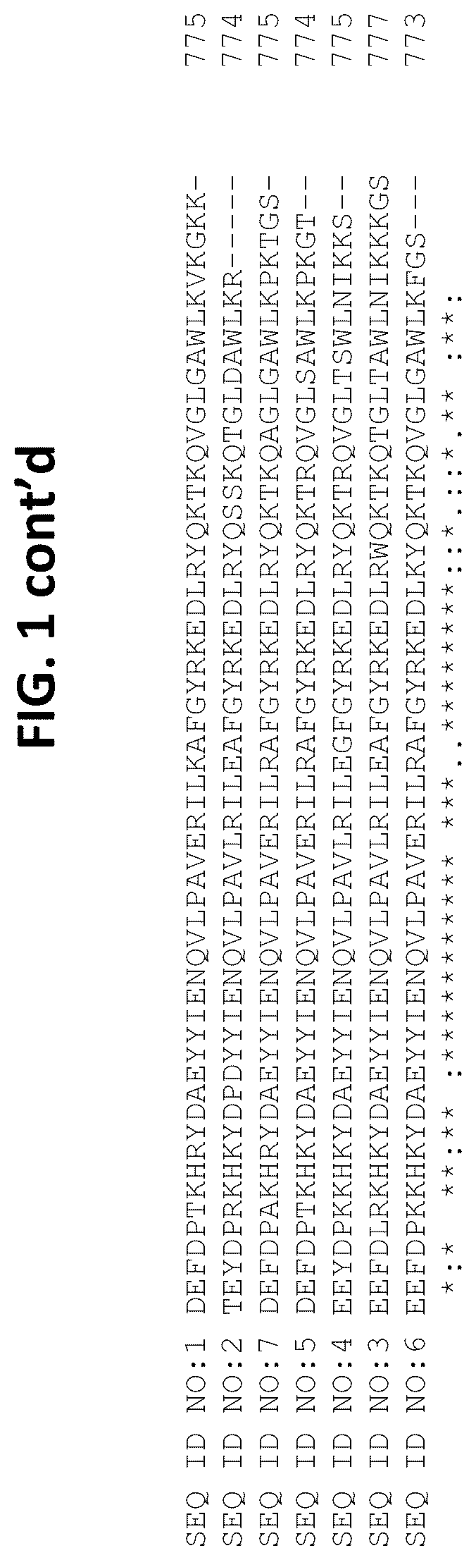 Patent US12104182 Figure 5 – Polymerases, compositions, and methods of use