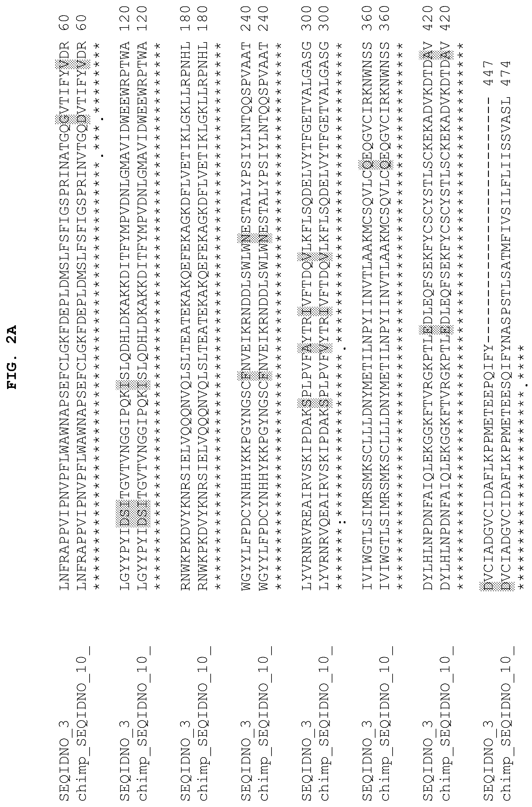 Patent US12104184 Figure 2 – PH20 polypeptide variants, formulations and uses thereof