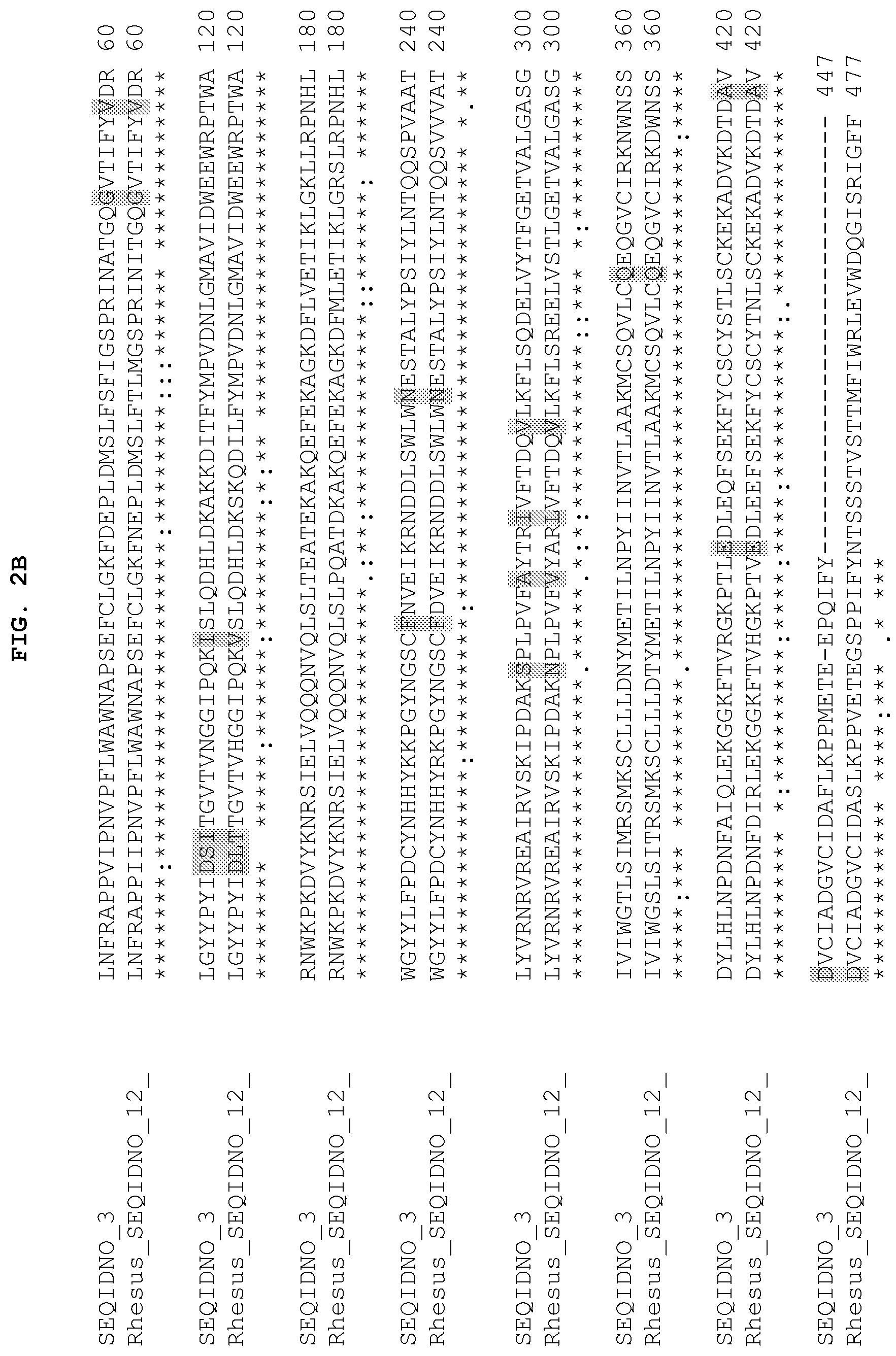 Patent US12104184 Figure 3 – PH20 polypeptide variants, formulations and uses thereof