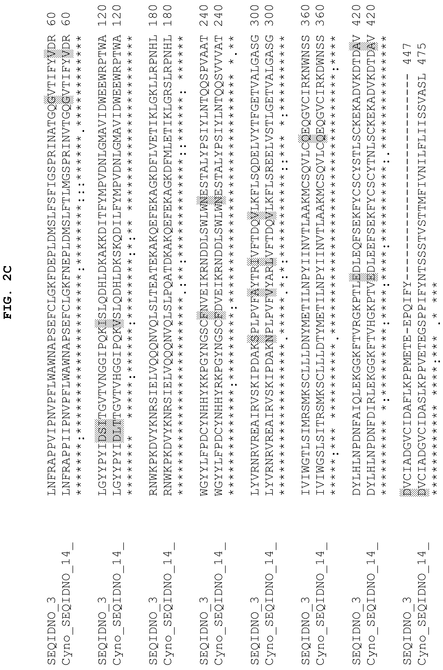 Patent US12104184 Figure 4 – PH20 polypeptide variants, formulations and uses thereof