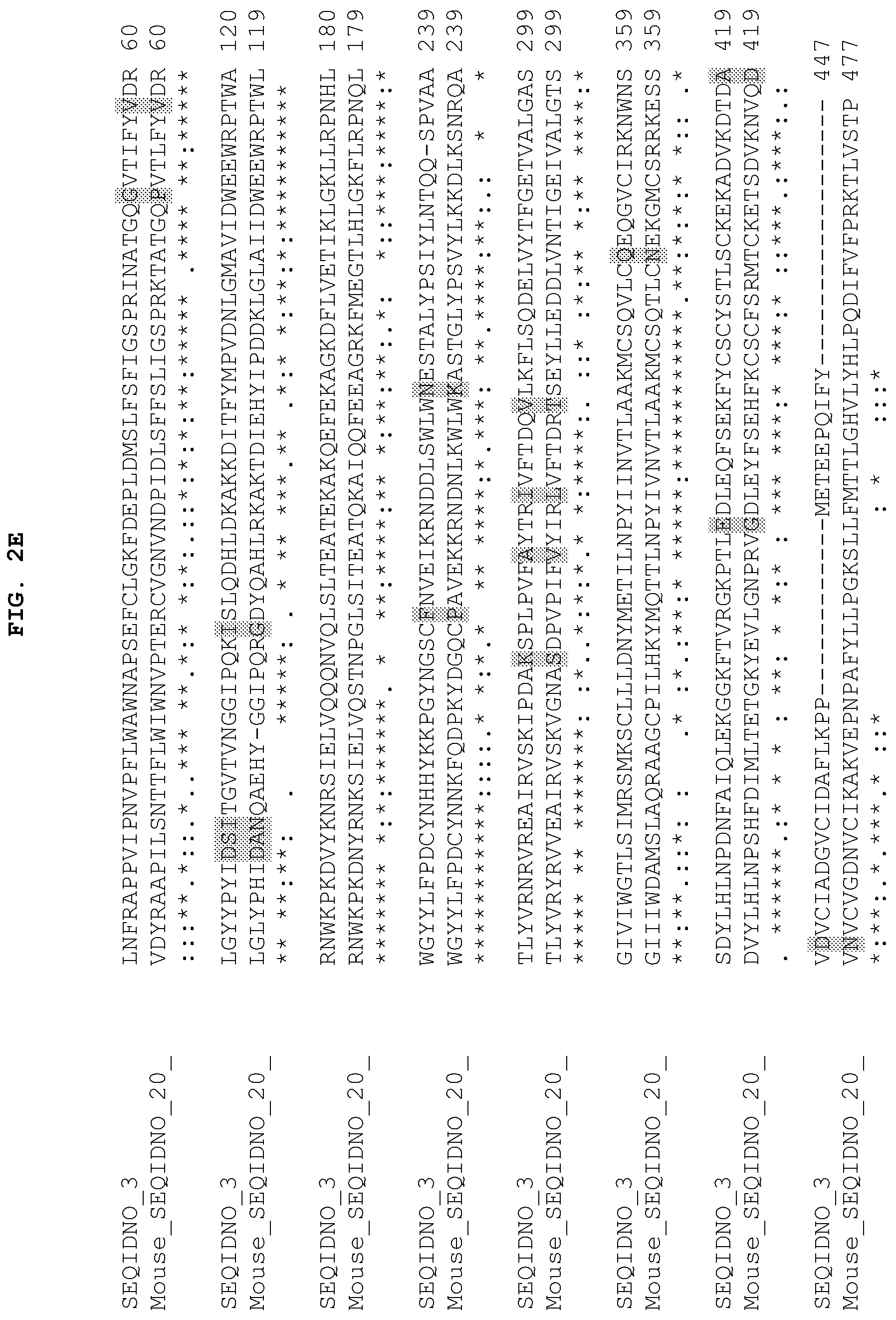 Patent US12104184 Figure 6 – PH20 polypeptide variants, formulations and uses thereof