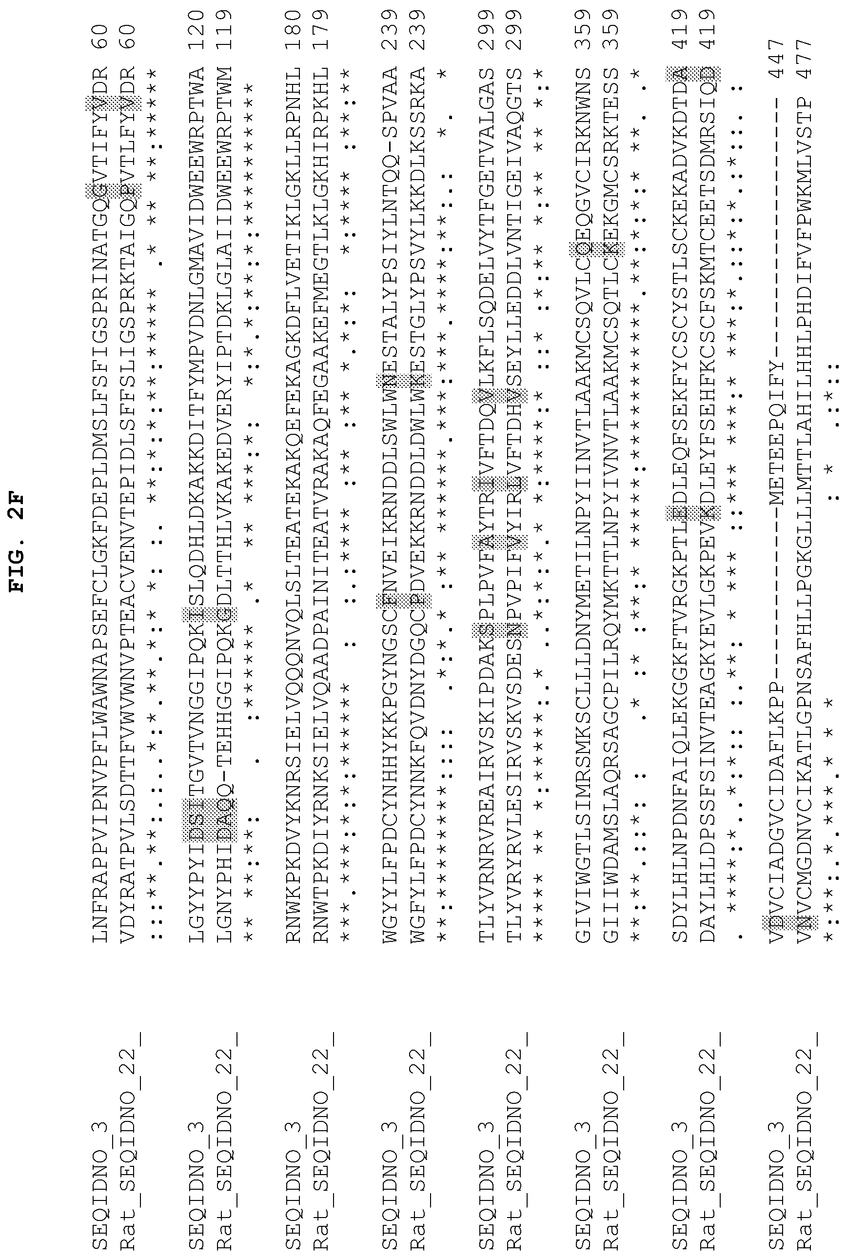 Patent US12104184 Figure 7 – PH20 polypeptide variants, formulations and uses thereof