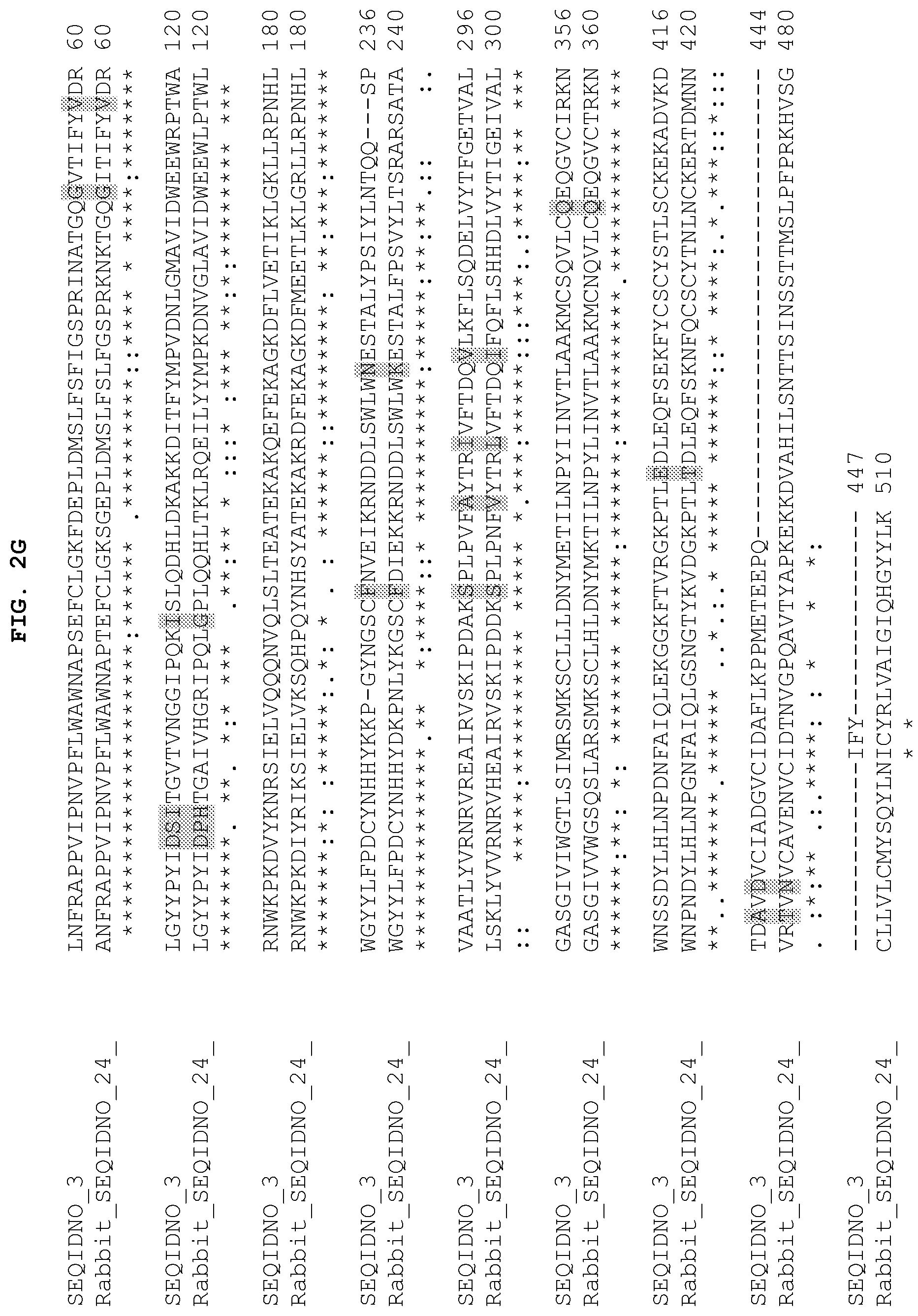 Patent US12104184 Figure 8 – PH20 polypeptide variants, formulations and uses thereof