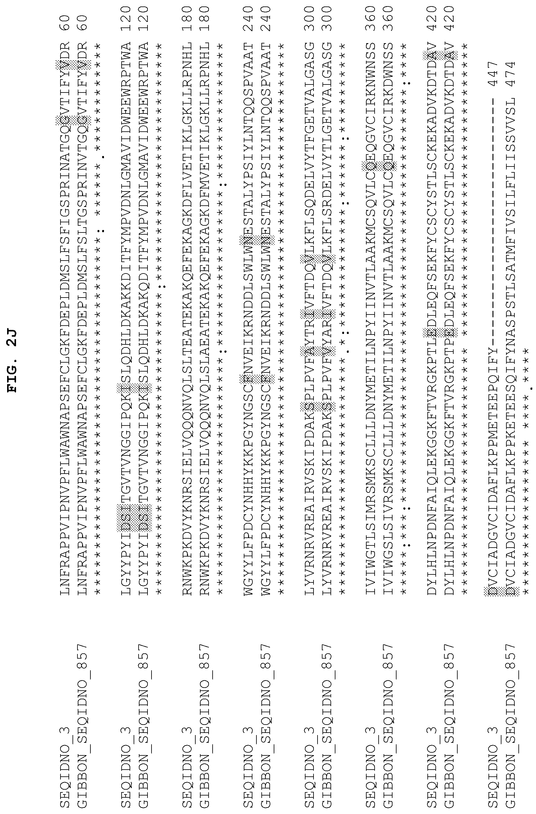 Patent US12104184 Figure 11 – PH20 polypeptide variants, formulations and uses thereof
