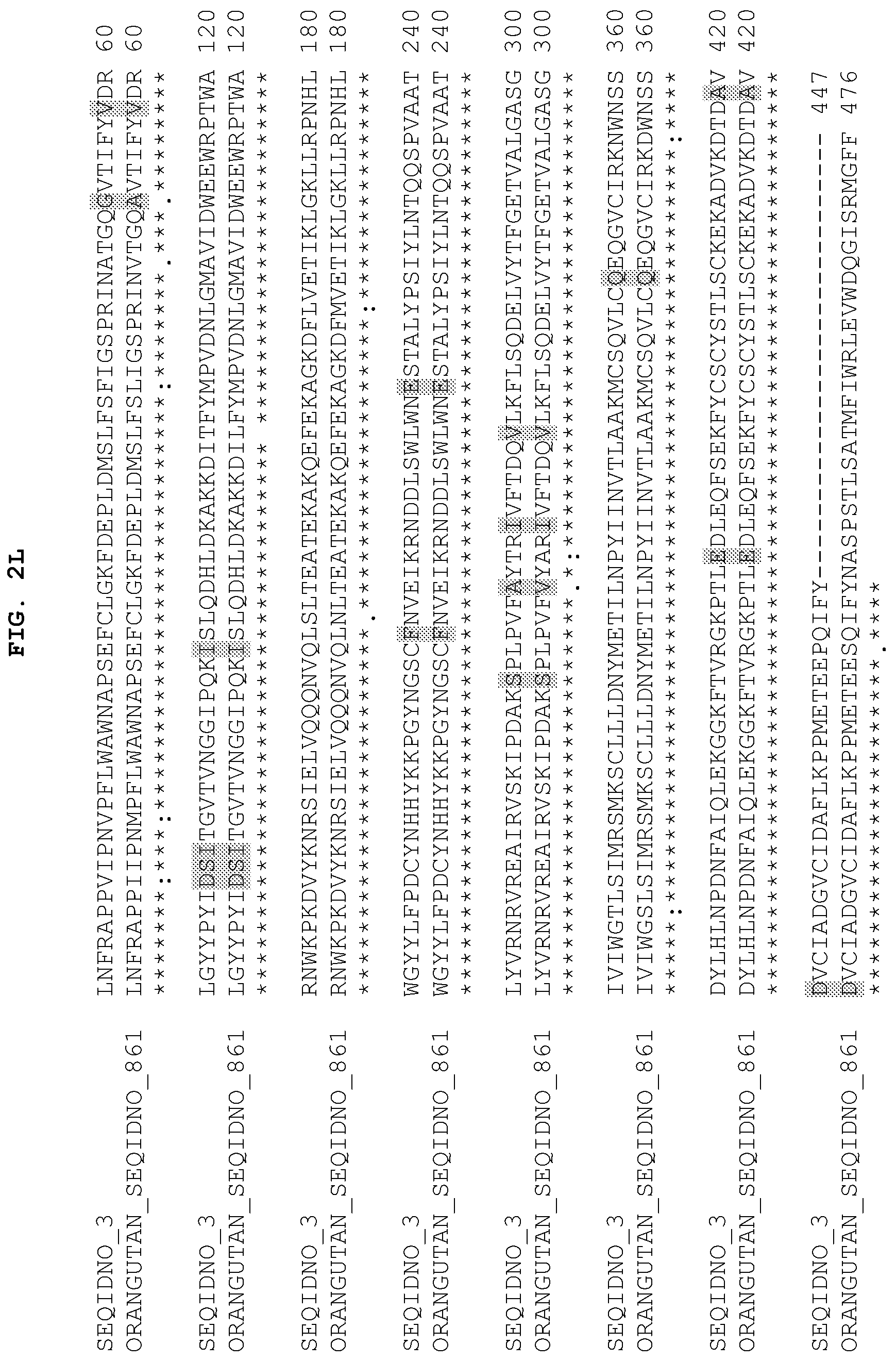 Patent US12104184 Figure 13 – PH20 polypeptide variants, formulations and uses thereof