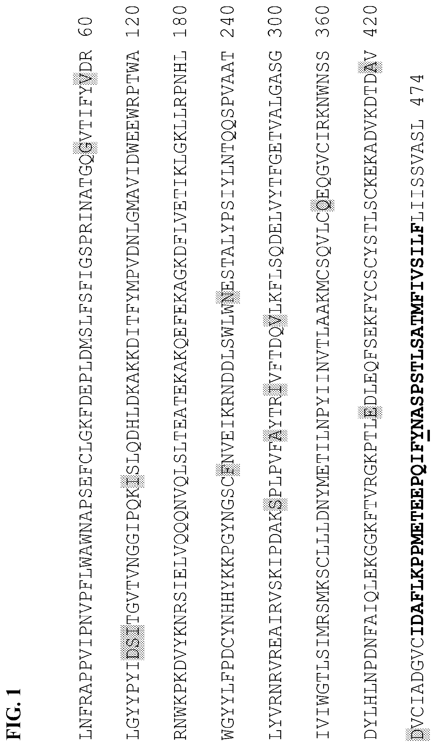 Patent US12104185 Figure 1 – PH20 polypeptide variants, formulations and uses thereof