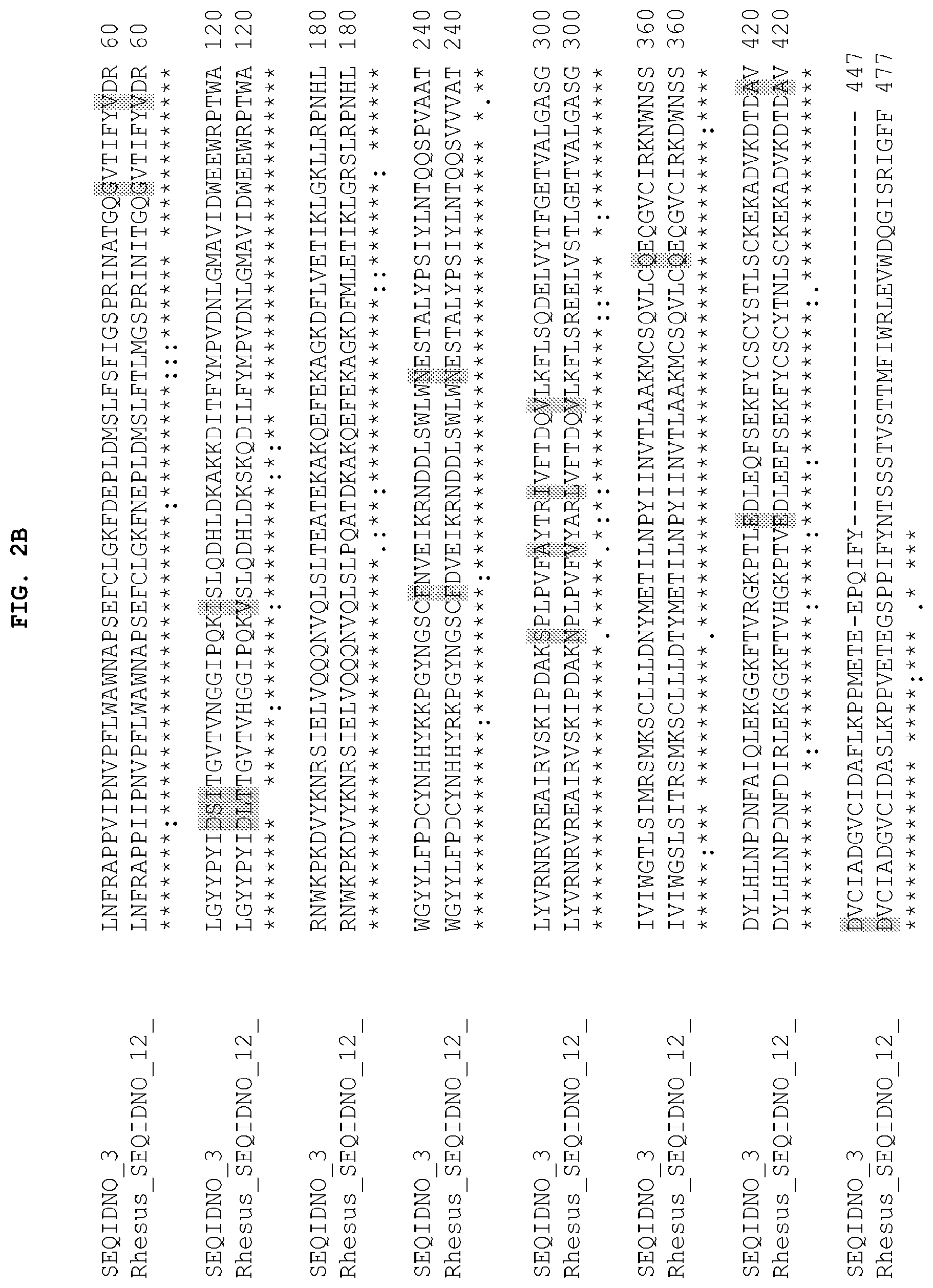 Patent US12104185 Figure 3 – PH20 polypeptide variants, formulations and uses thereof