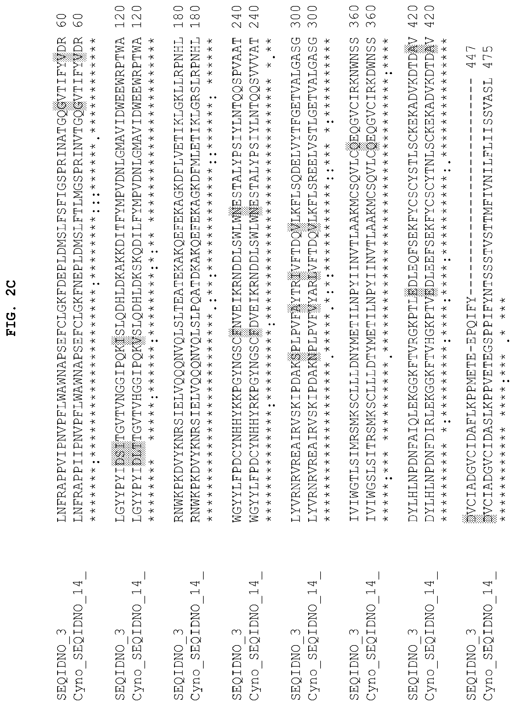 Patent US12104185 Figure 4 – PH20 polypeptide variants, formulations and uses thereof