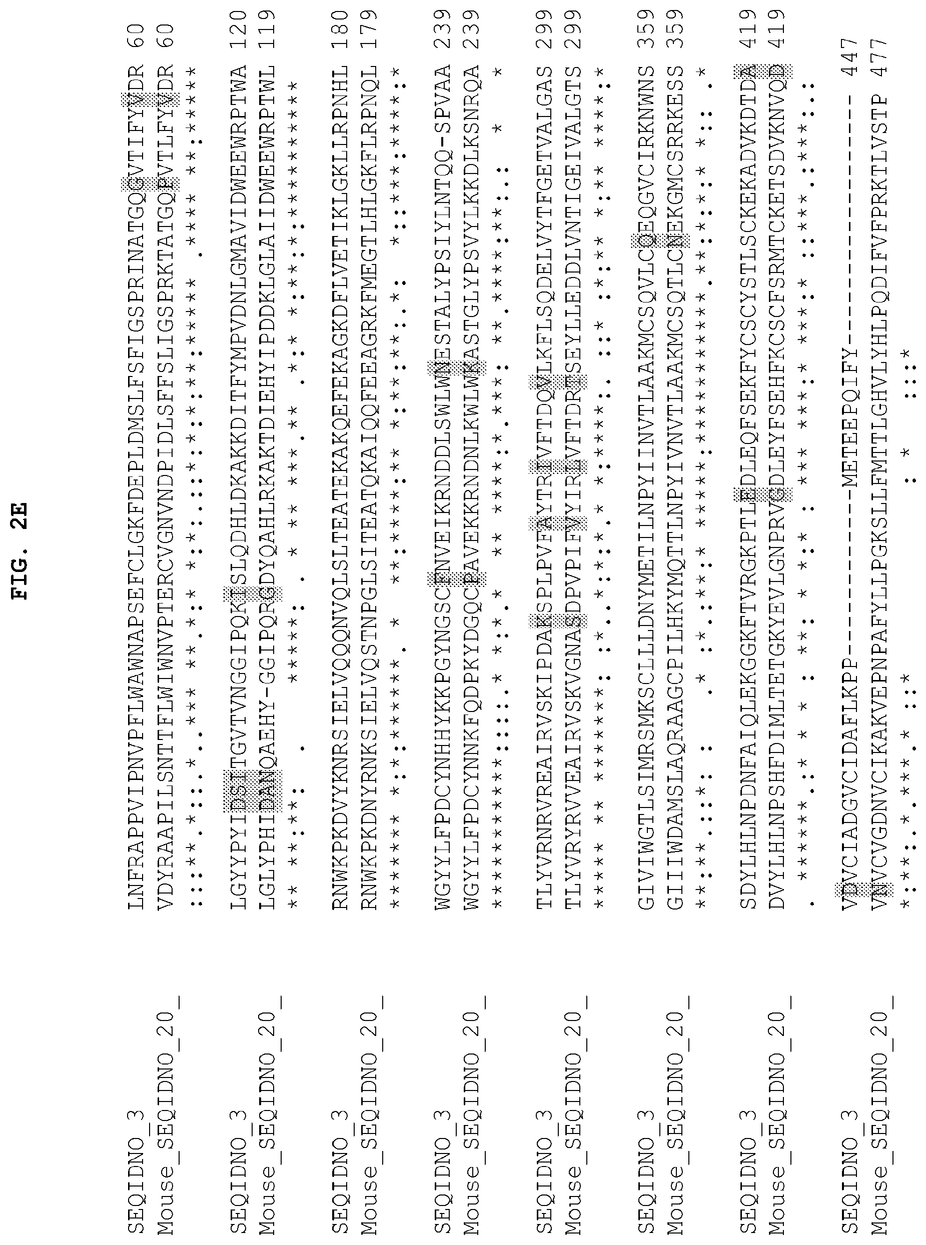 Patent US12104185 Figure 6 – PH20 polypeptide variants, formulations and uses thereof