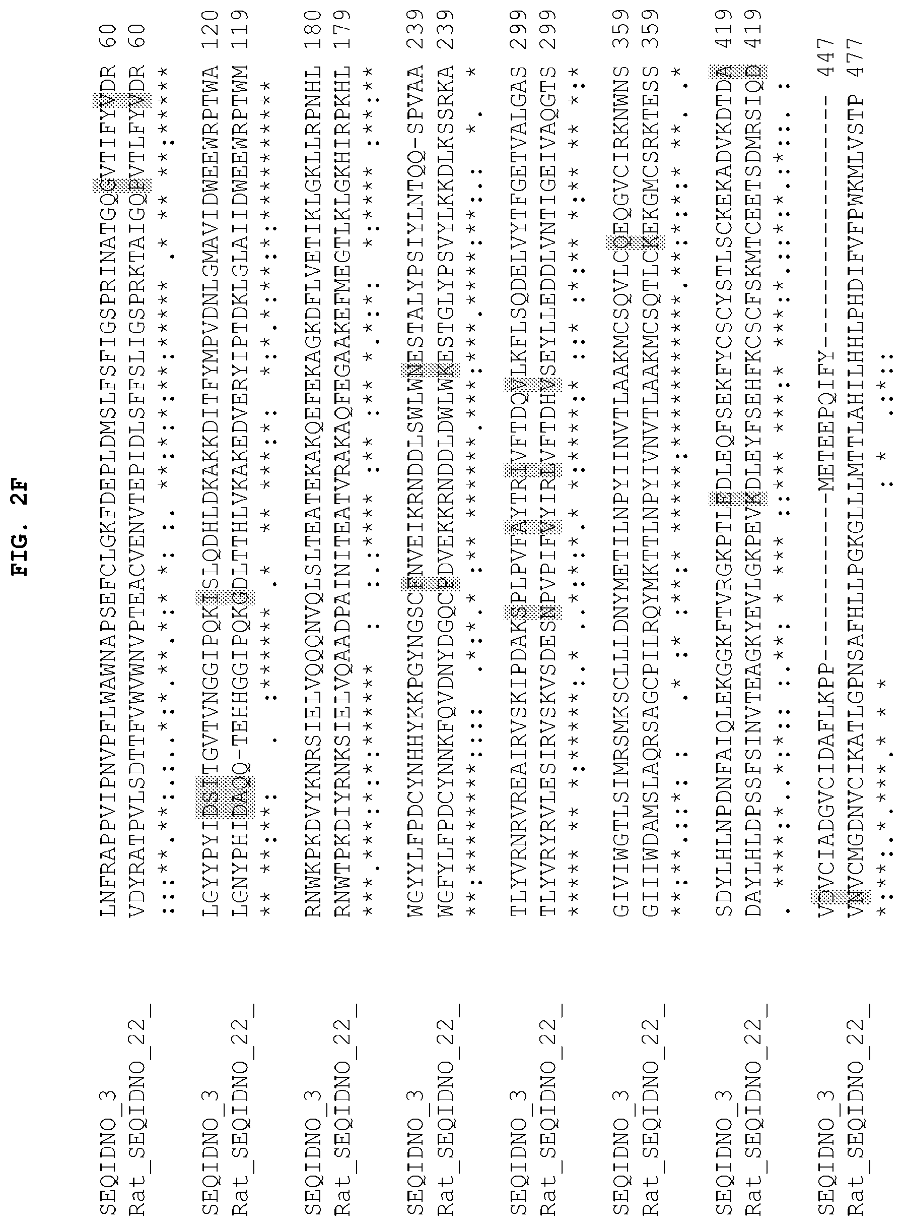 Patent US12104185 Figure 7 – PH20 polypeptide variants, formulations and uses thereof