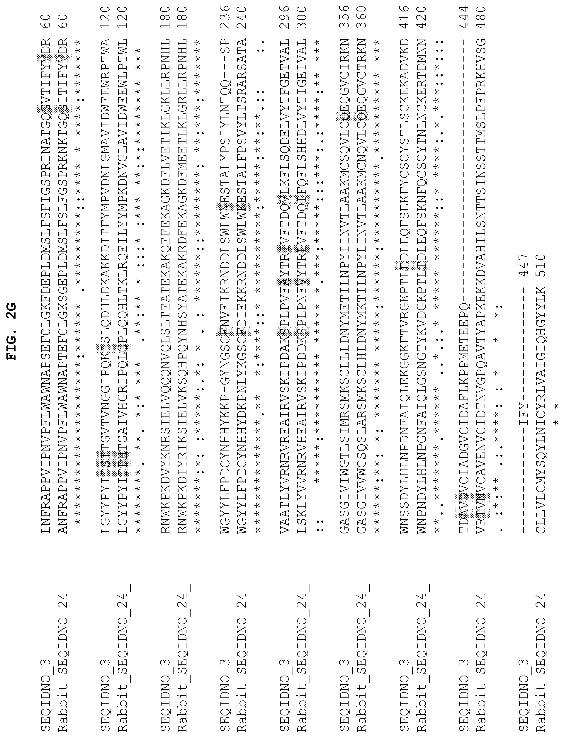 Patent US12104185 Figure 8 – PH20 polypeptide variants, formulations and uses thereof