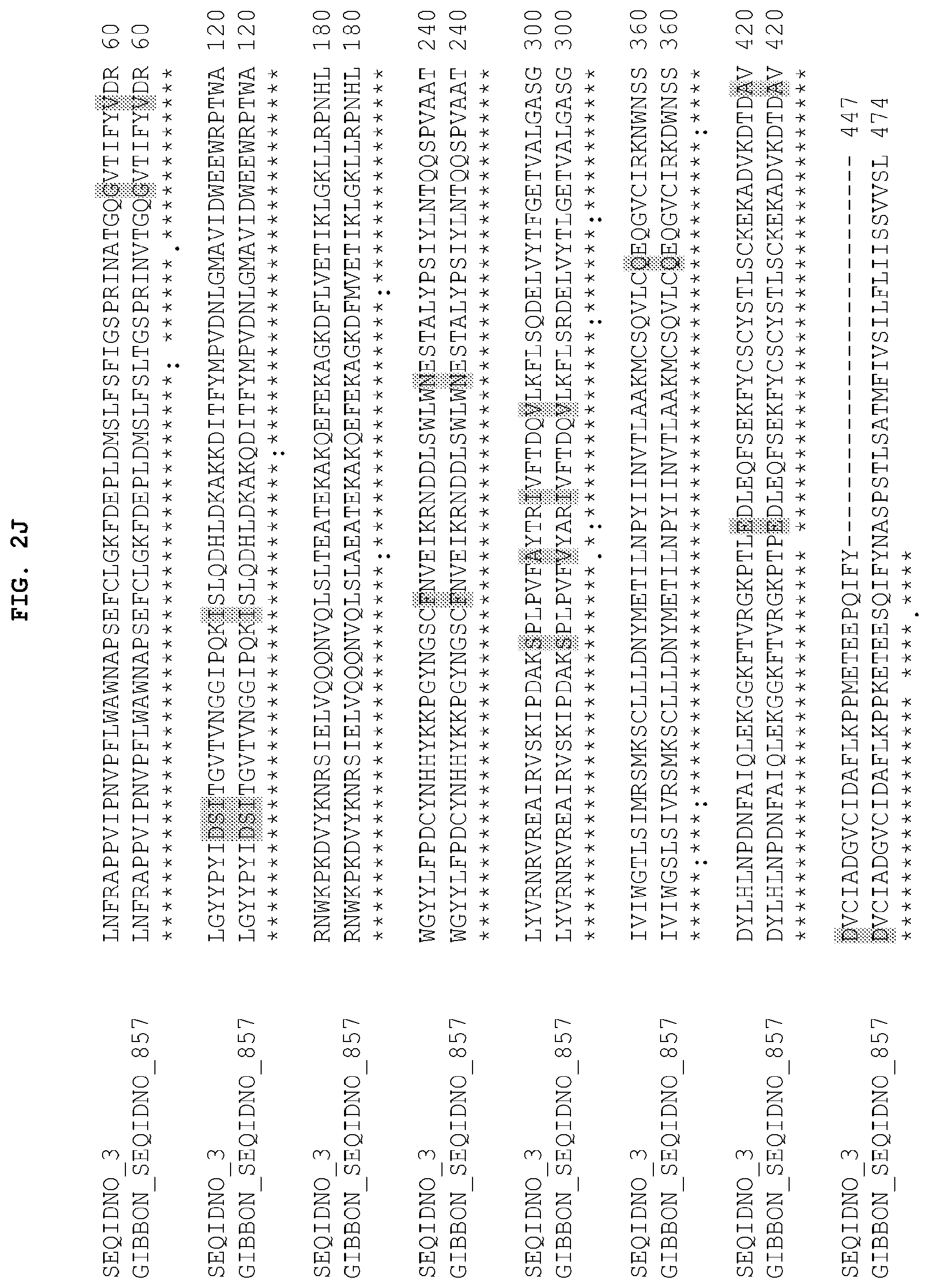 Patent US12104185 Figure 11 – PH20 polypeptide variants, formulations and uses thereof