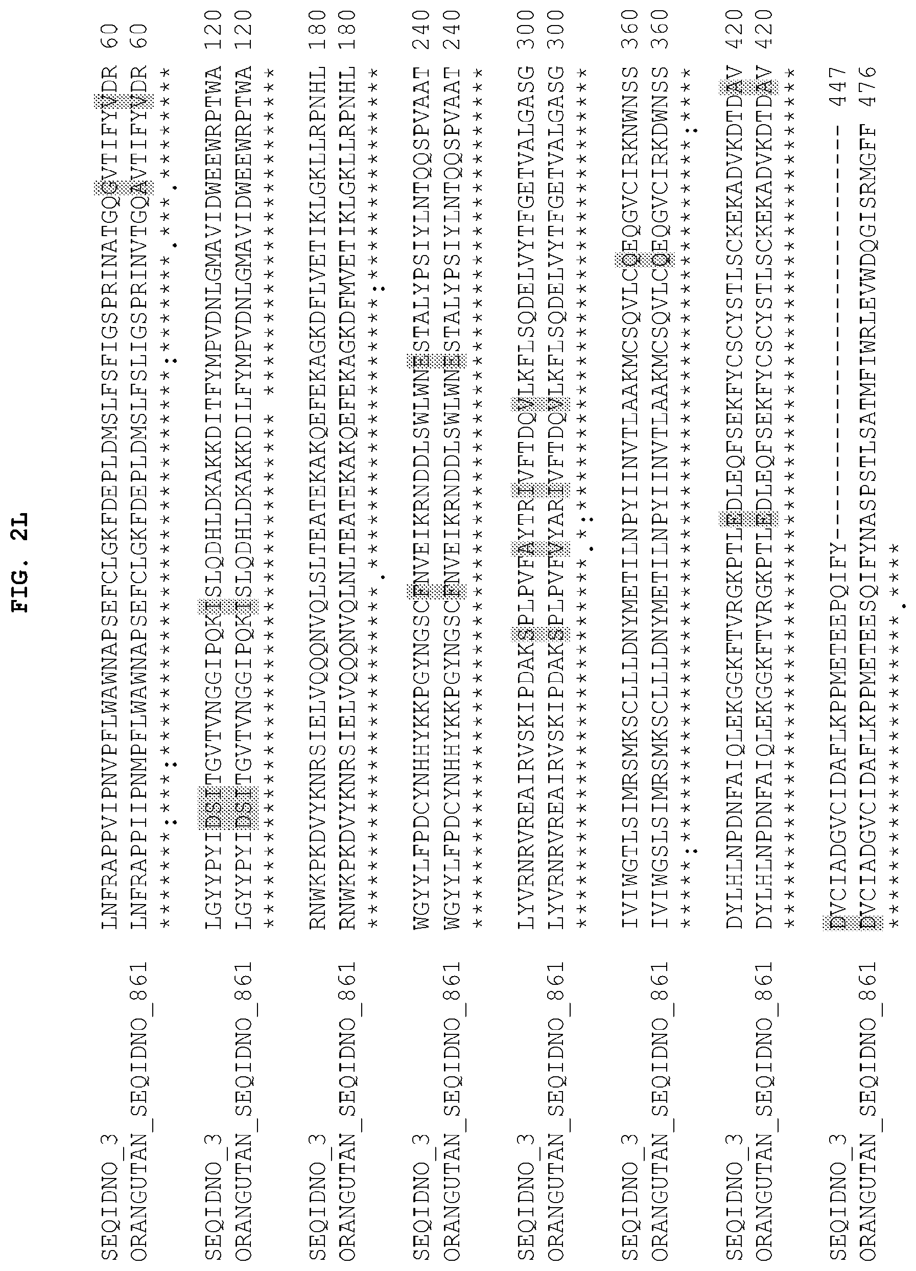 Patent US12104185 Figure 13 – PH20 polypeptide variants, formulations and uses thereof