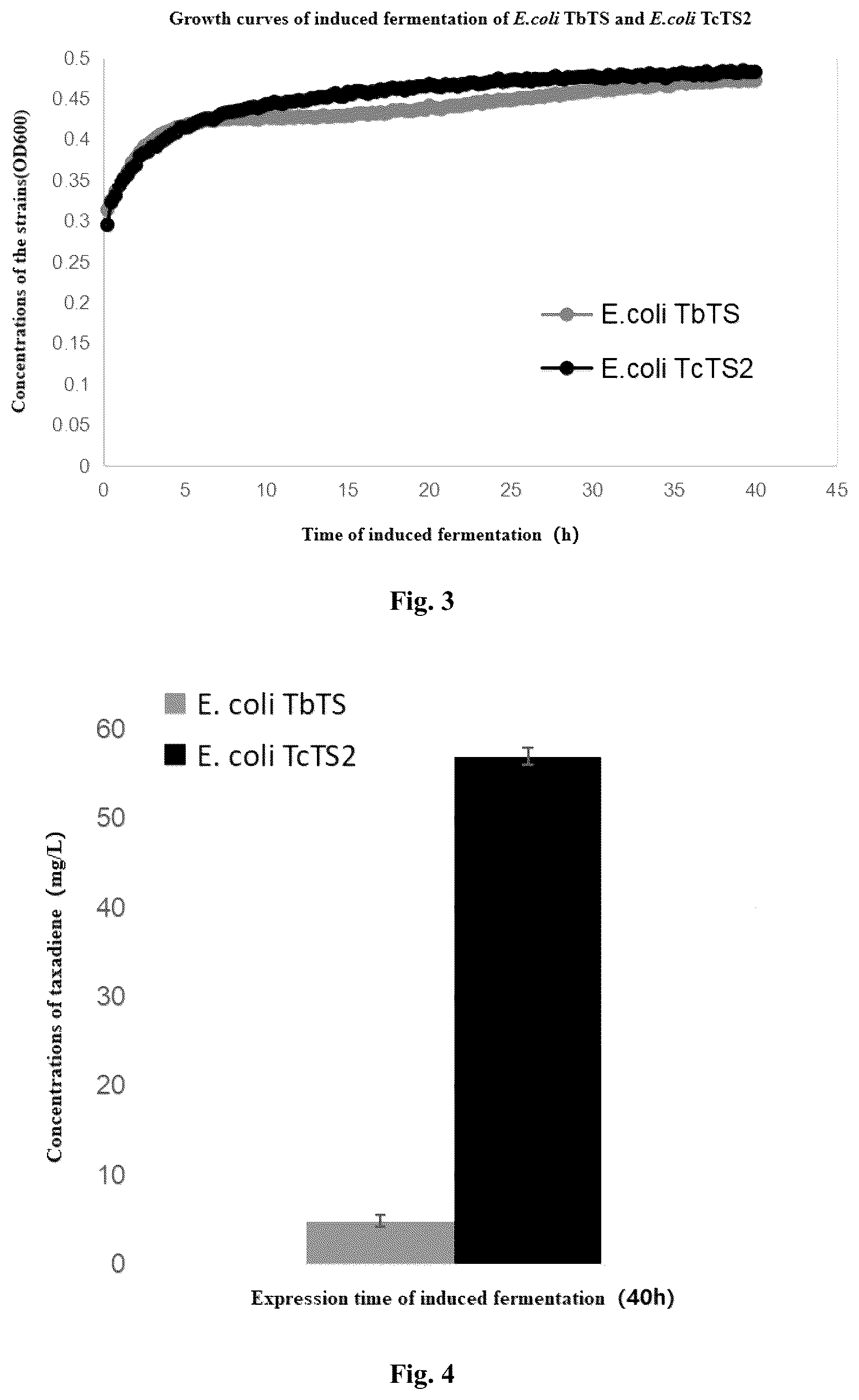 Patent US12104190 Figure 3 – Taxadiene synthase TcTS2, encoding nucleotide sequence and use thereof