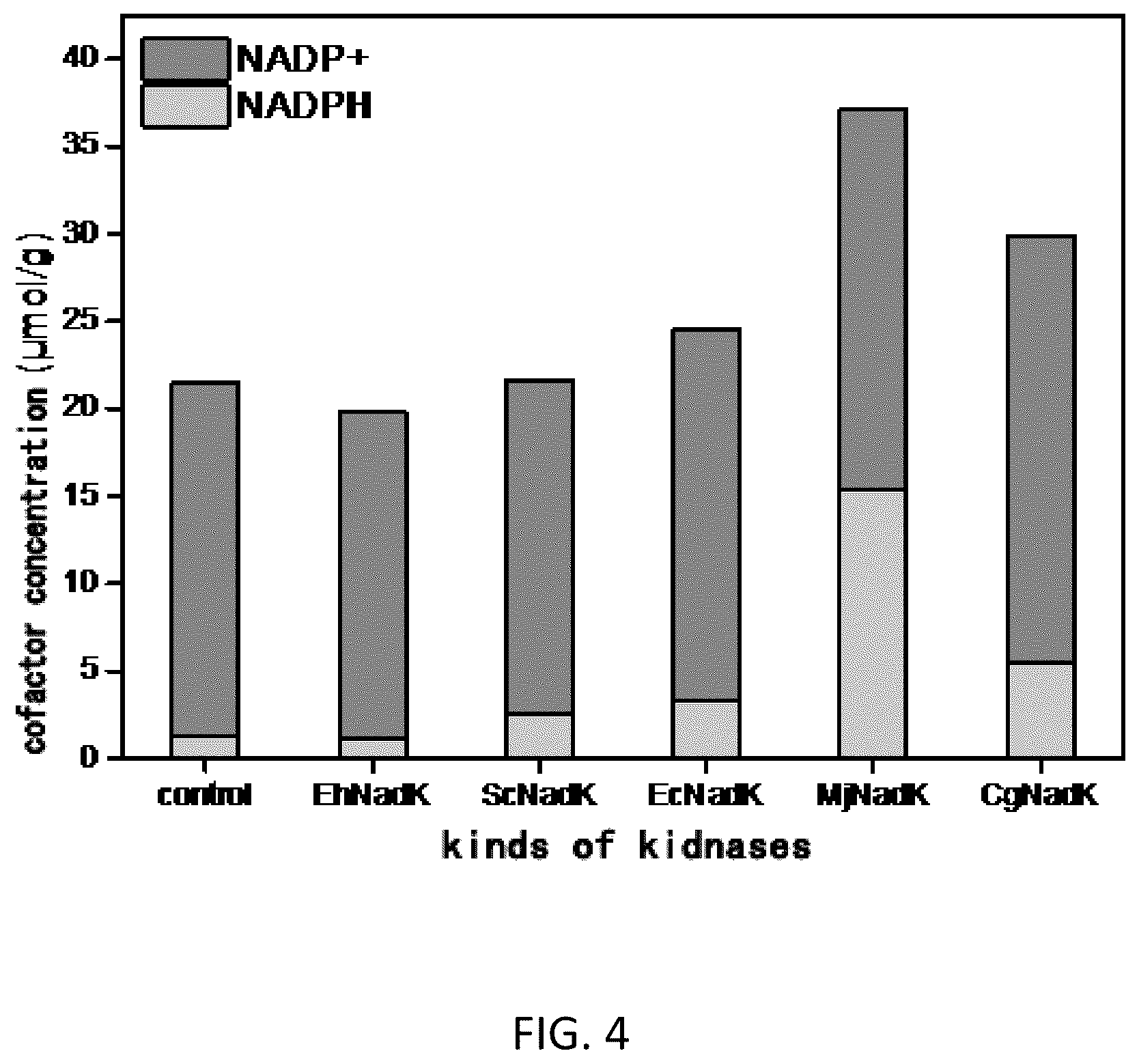 Patent US12104191 Figure 4 – Cofactor self-sufficient Escherichia coli and construction method and application thereof