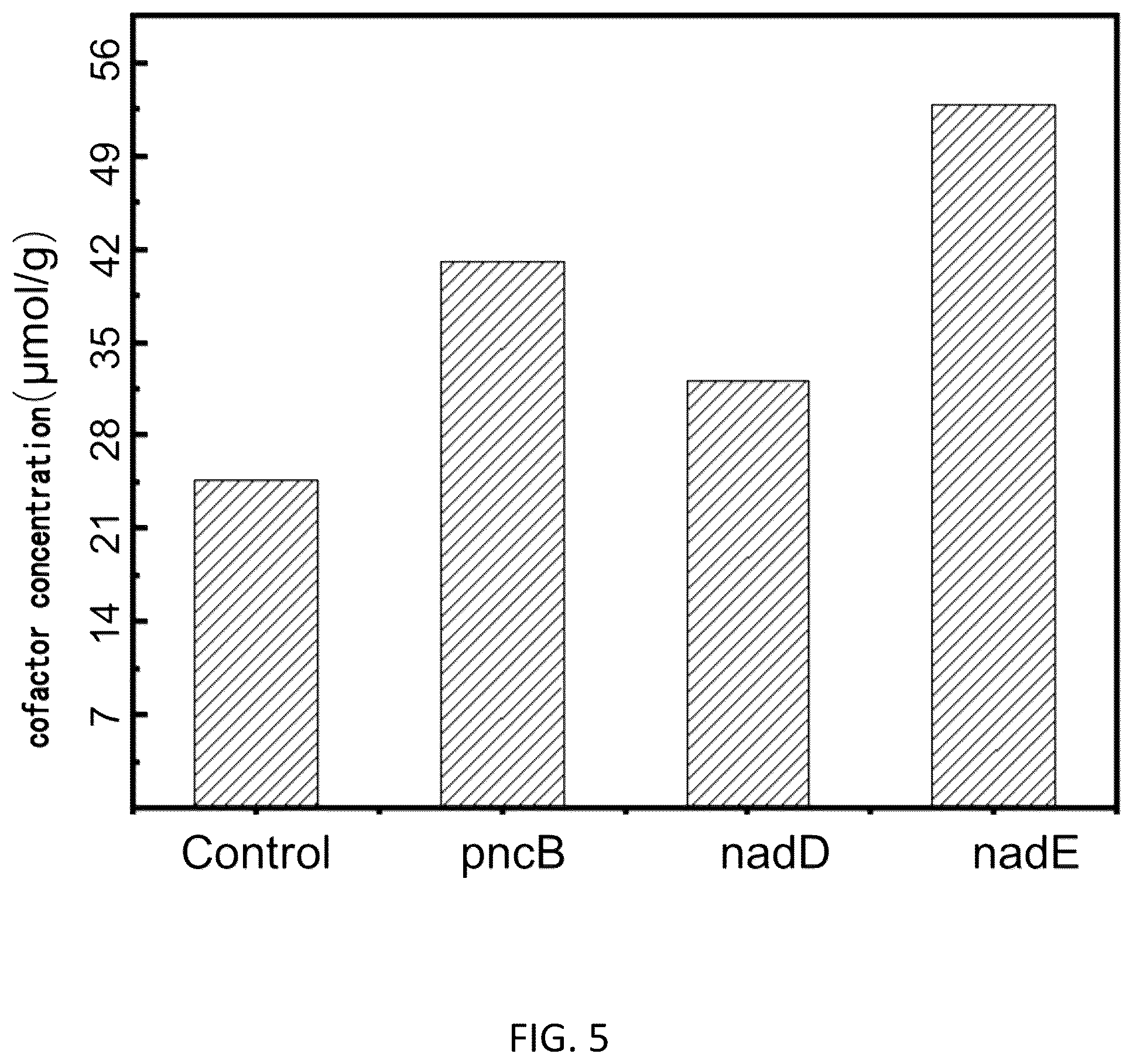 Patent US12104191 Figure 5 – Cofactor self-sufficient Escherichia coli and construction method and application thereof