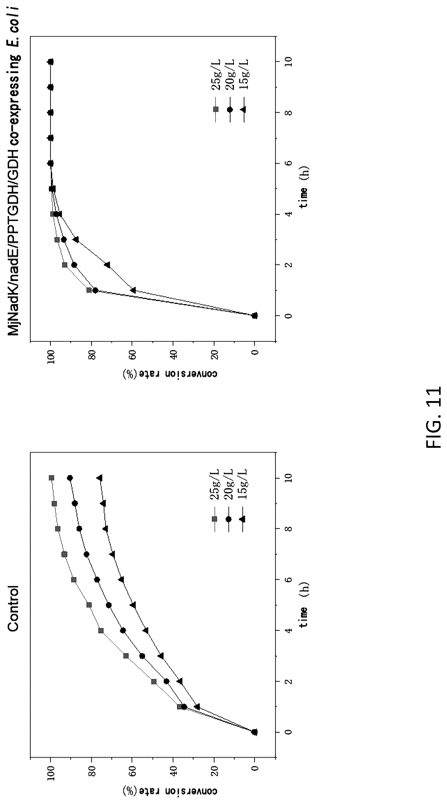 Patent US12104191 Figure 11 – Cofactor self-sufficient Escherichia coli and construction method and application thereof