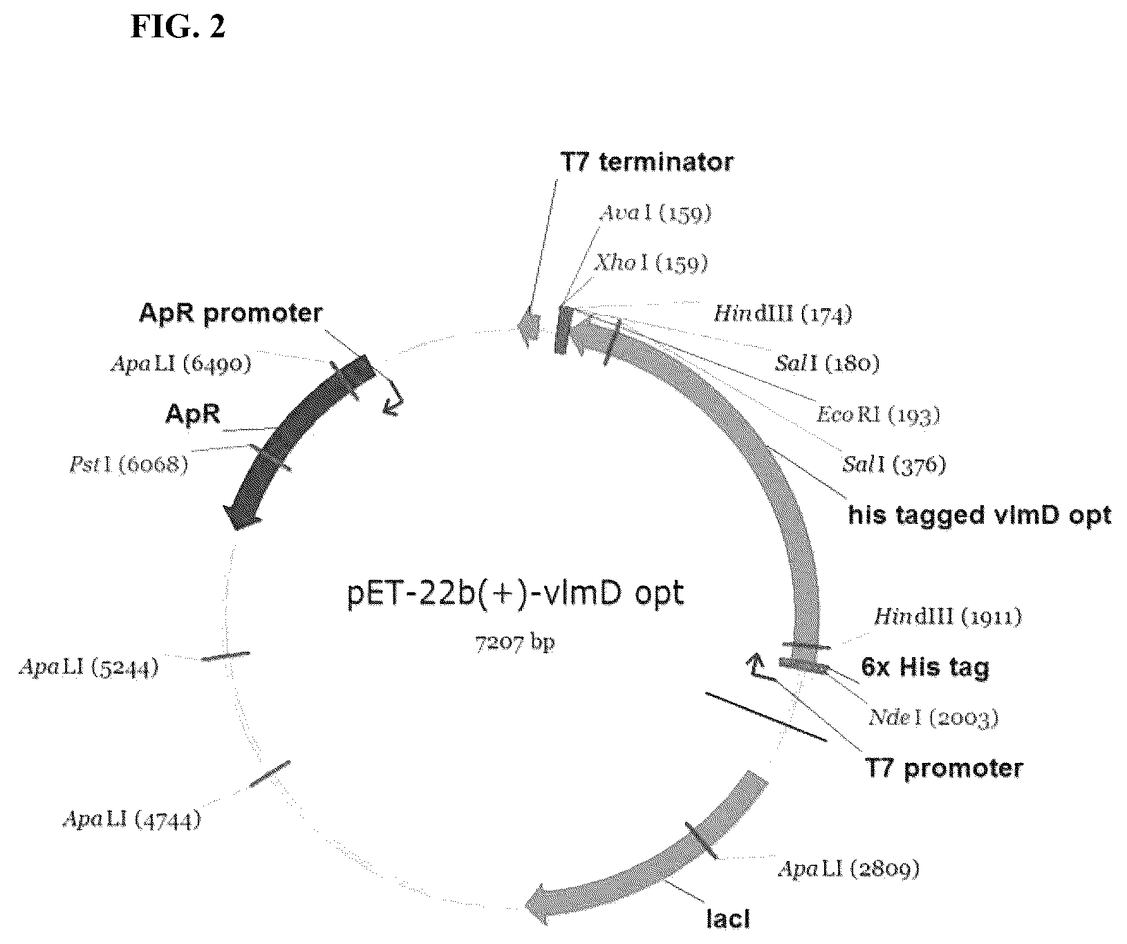 Patent US12104192 Figure 2 – Method of preparing primary amines from amino acids using enzymatic conversion