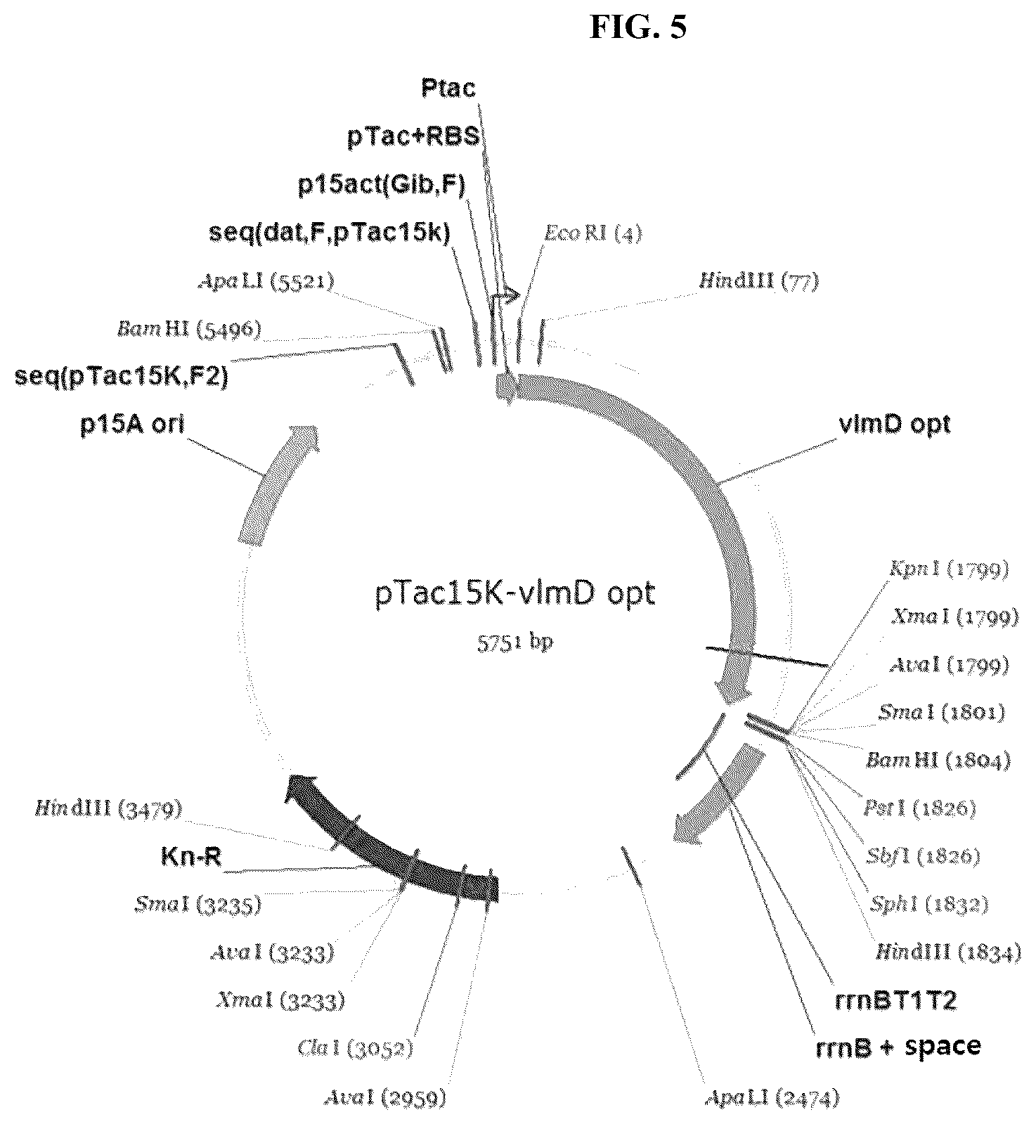 Patent US12104192 Figure 5 – Method of preparing primary amines from amino acids using enzymatic conversion
