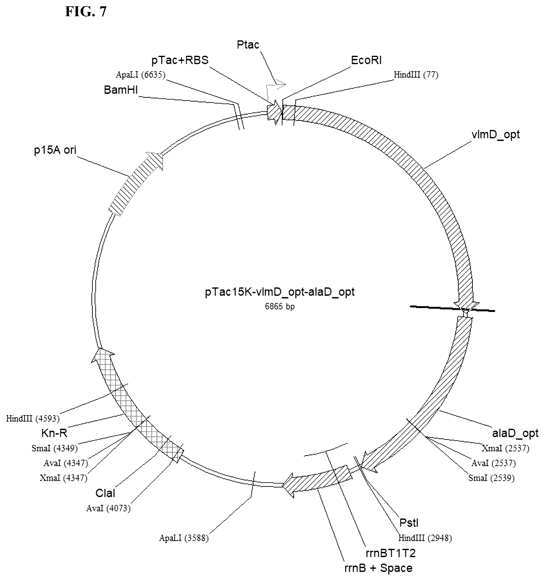 Patent US12104192 Figure 7 – Method of preparing primary amines from amino acids using enzymatic conversion