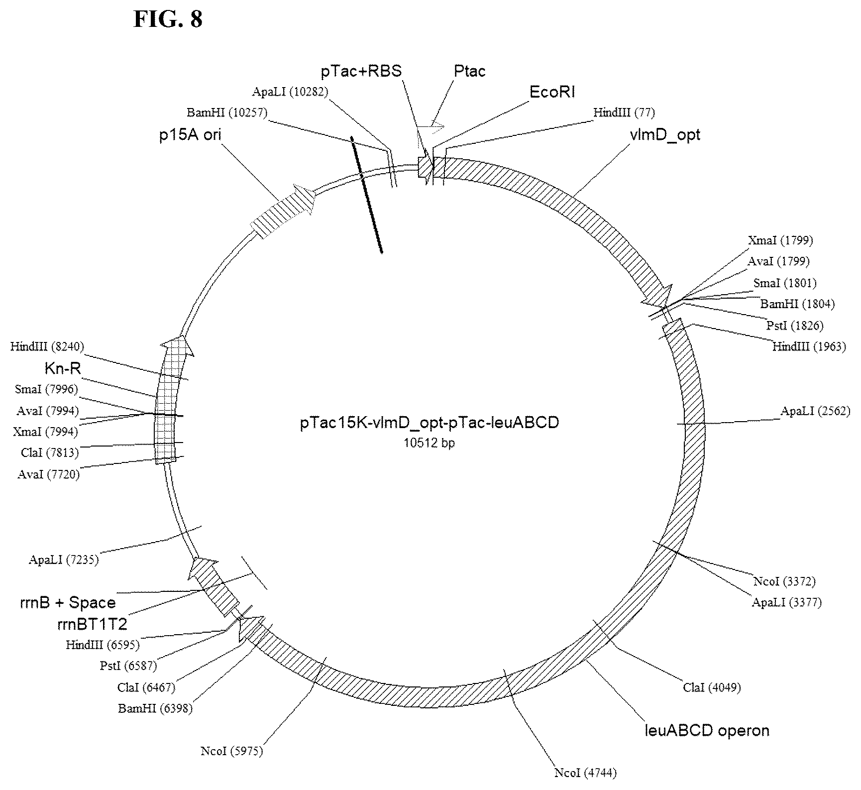 Patent US12104192 Figure 8 – Method of preparing primary amines from amino acids using enzymatic conversion