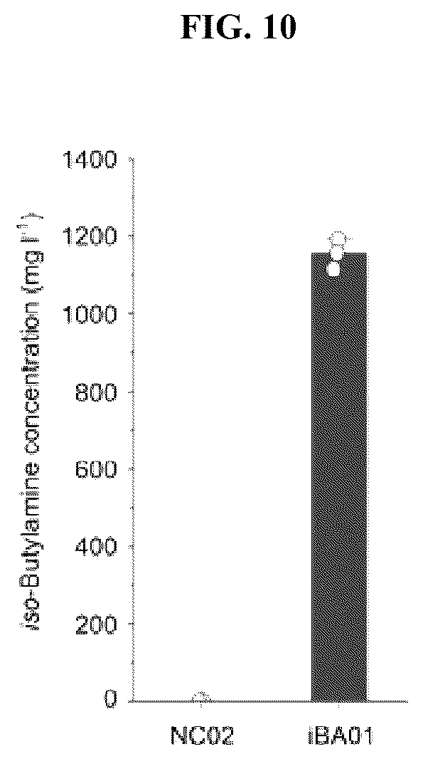 Patent US12104192 Figure 10 – Method of preparing primary amines from amino acids using enzymatic conversion
